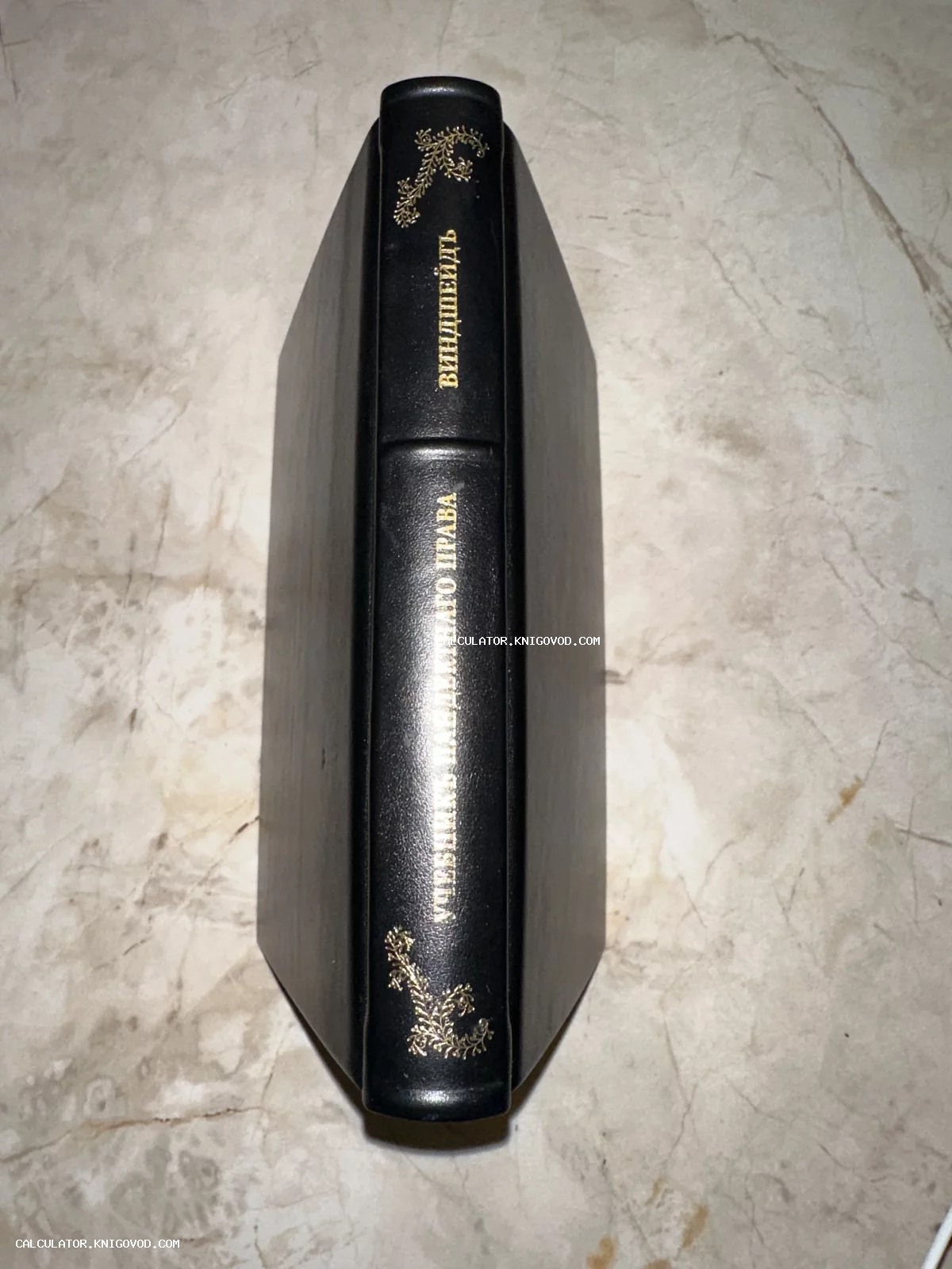 Вид сверху на корешок антикварной книги в черном кожаном переплете с золотым тиснением названия «Учебник пандектного права» и фамилии автора «Виндшейд».
