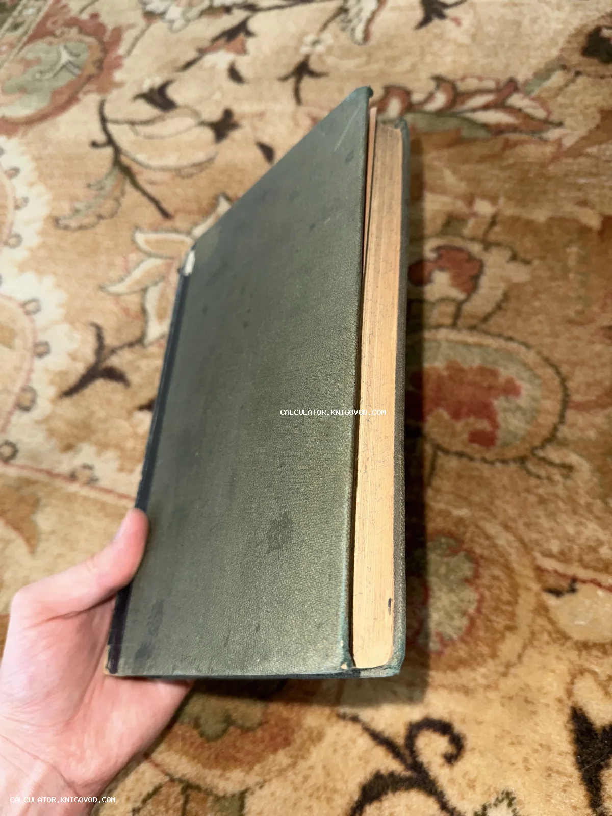 Старинная книга в зеленом тканевом переплете с пожелтевшим срезом страниц на фоне ковра.
