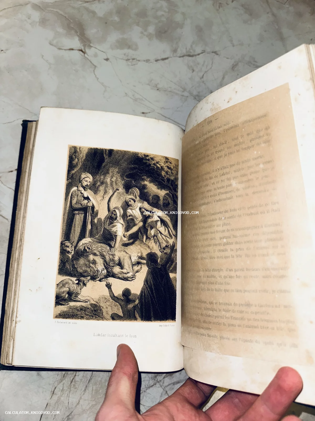 Разворот старинной книги на французском языке с черно-белой литографией, изображающей льва и группу людей в восточных одеждах.