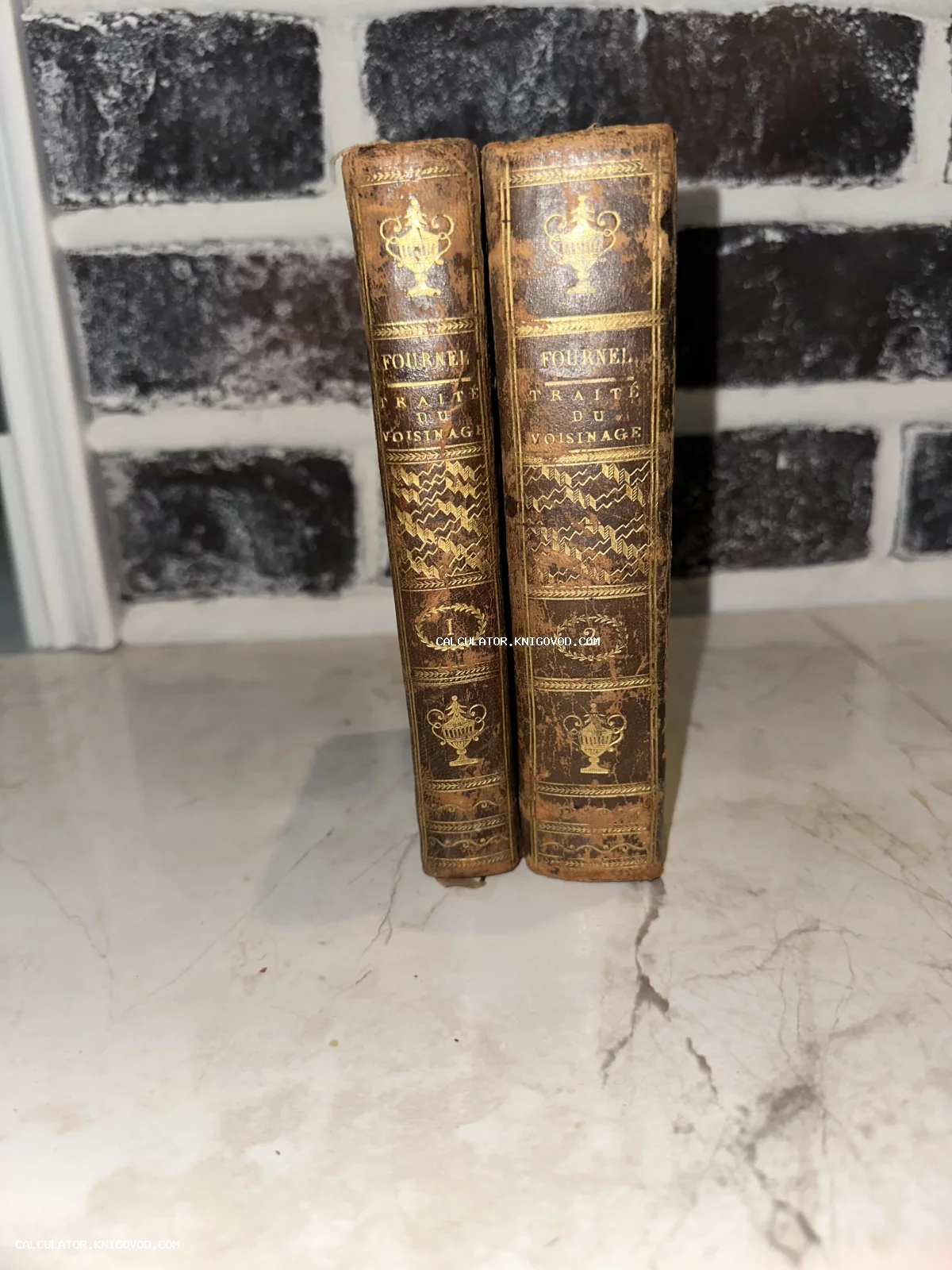 Два старинных тома в коричневом кожаном переплете с золотым тиснением на корешках.