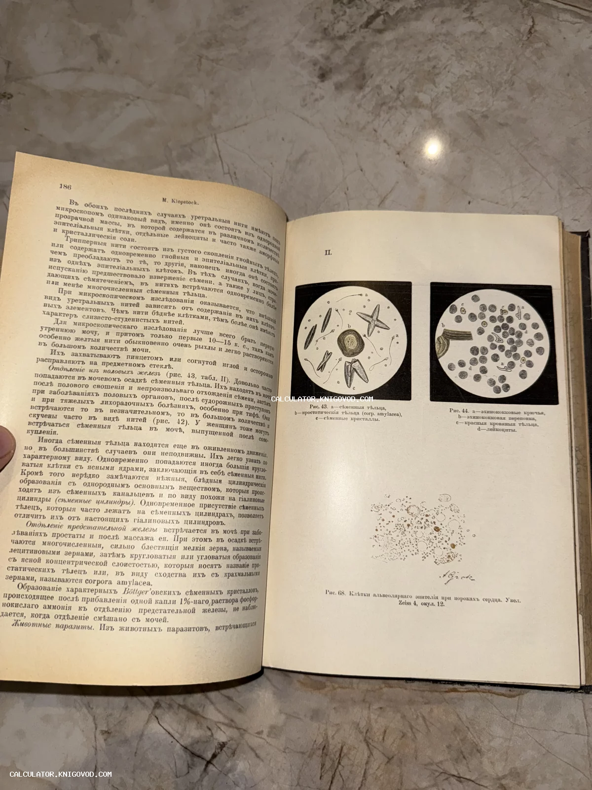 Открытый разворот старинной научной книги с дореволюционным текстом и иллюстрациями биологических образцов под микроскопом.