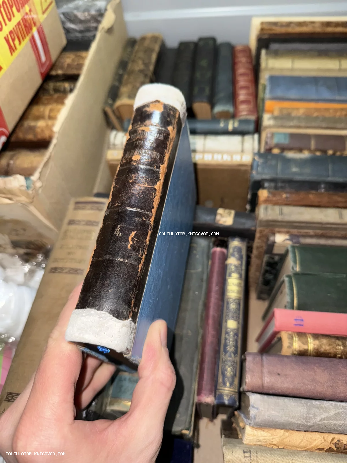 Рука держит антикварную книгу с потертым кожаным корешком на фоне коллекции других старинных изданий.