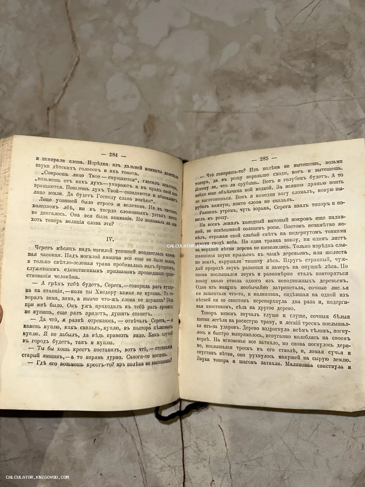 Раскрытая старинная книга на страницах 284 и 285 с текстом на дореволюционном русском языке.