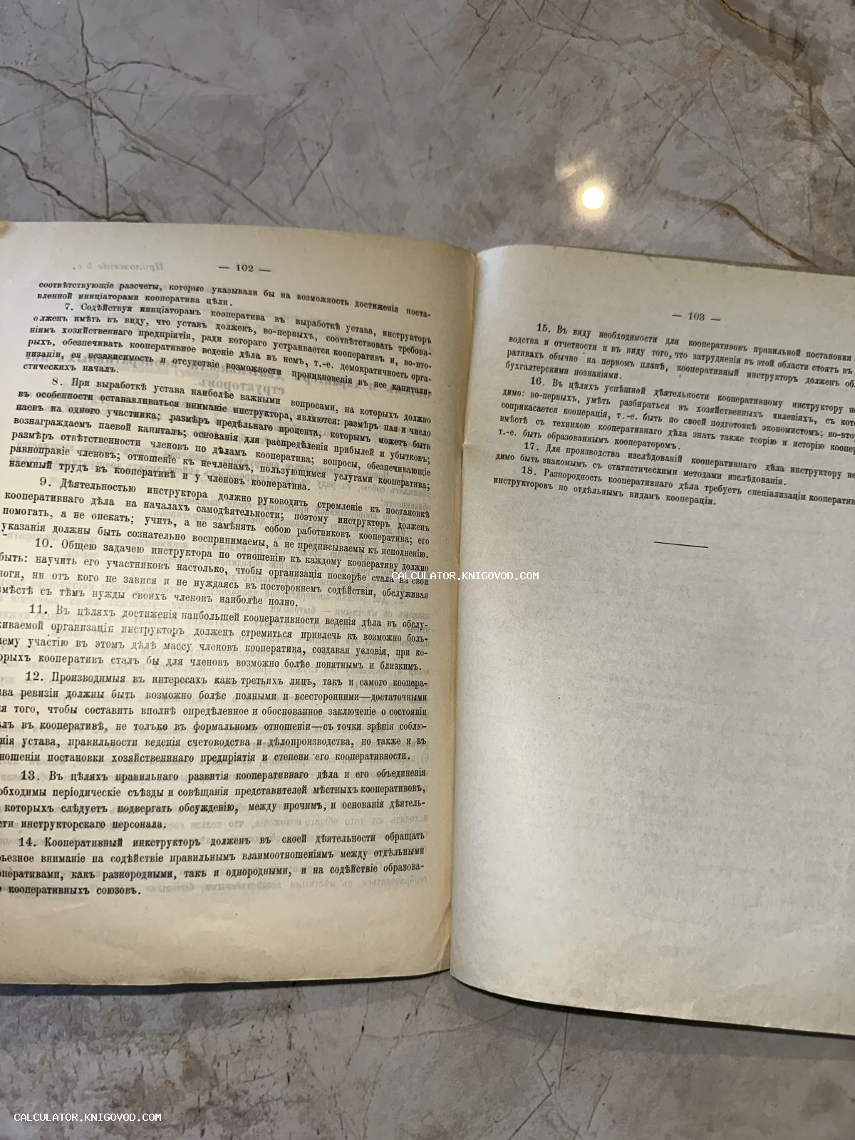 Разворот старинной книги с текстом на дореволюционном русском языке, страницы 102 и 103.