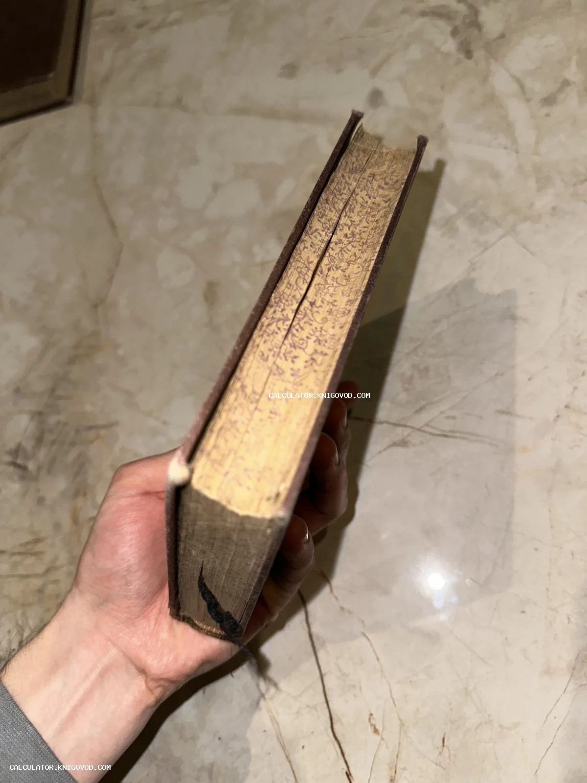 Вид на боковой срез старинной книги с узорчатым орнаментом в руке коллекционера на фоне мраморного пола.