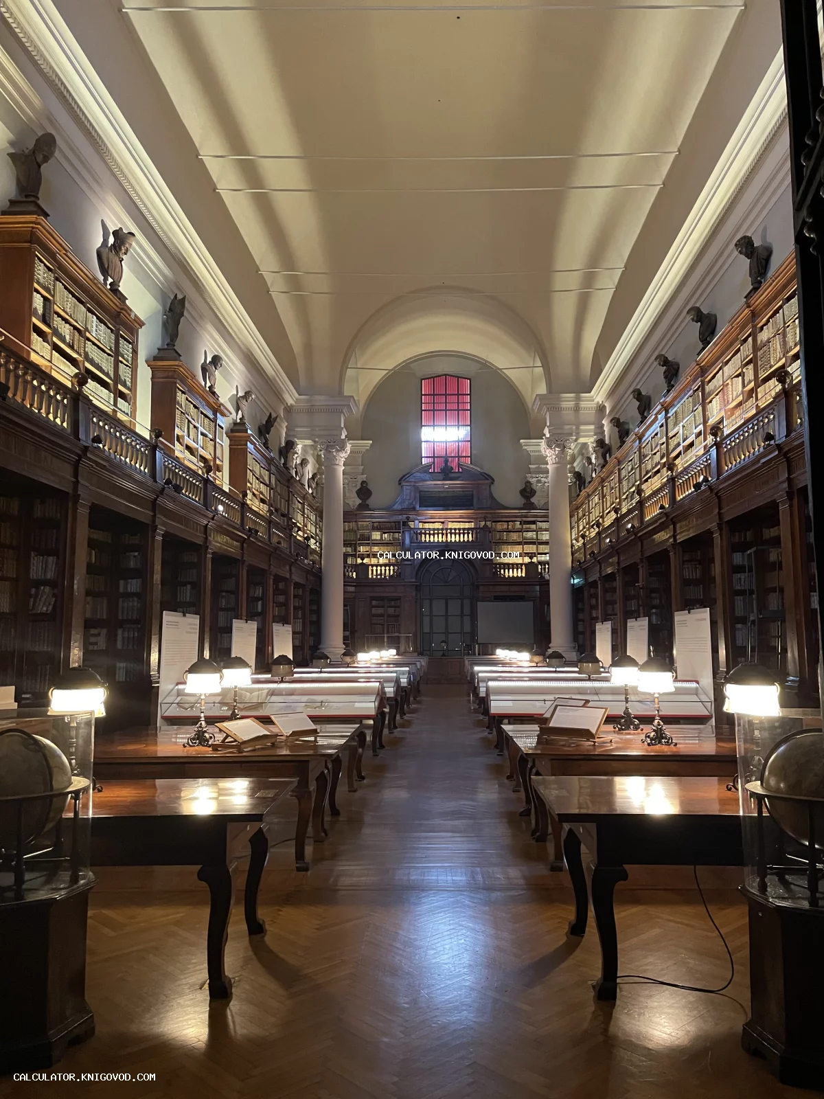 Интерьер исторической библиотеки с высокими деревянными стеллажами, античными бюстами на полках и столами для чтения с лампами.