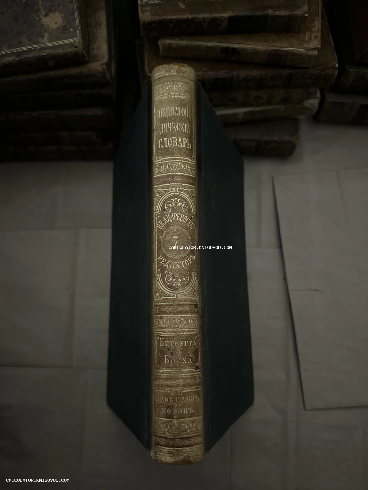 Корешок антикварной книги Энциклопедический словарь Брокгауза и Ефрона с золотым тиснением и надписью Битбург до Босха.