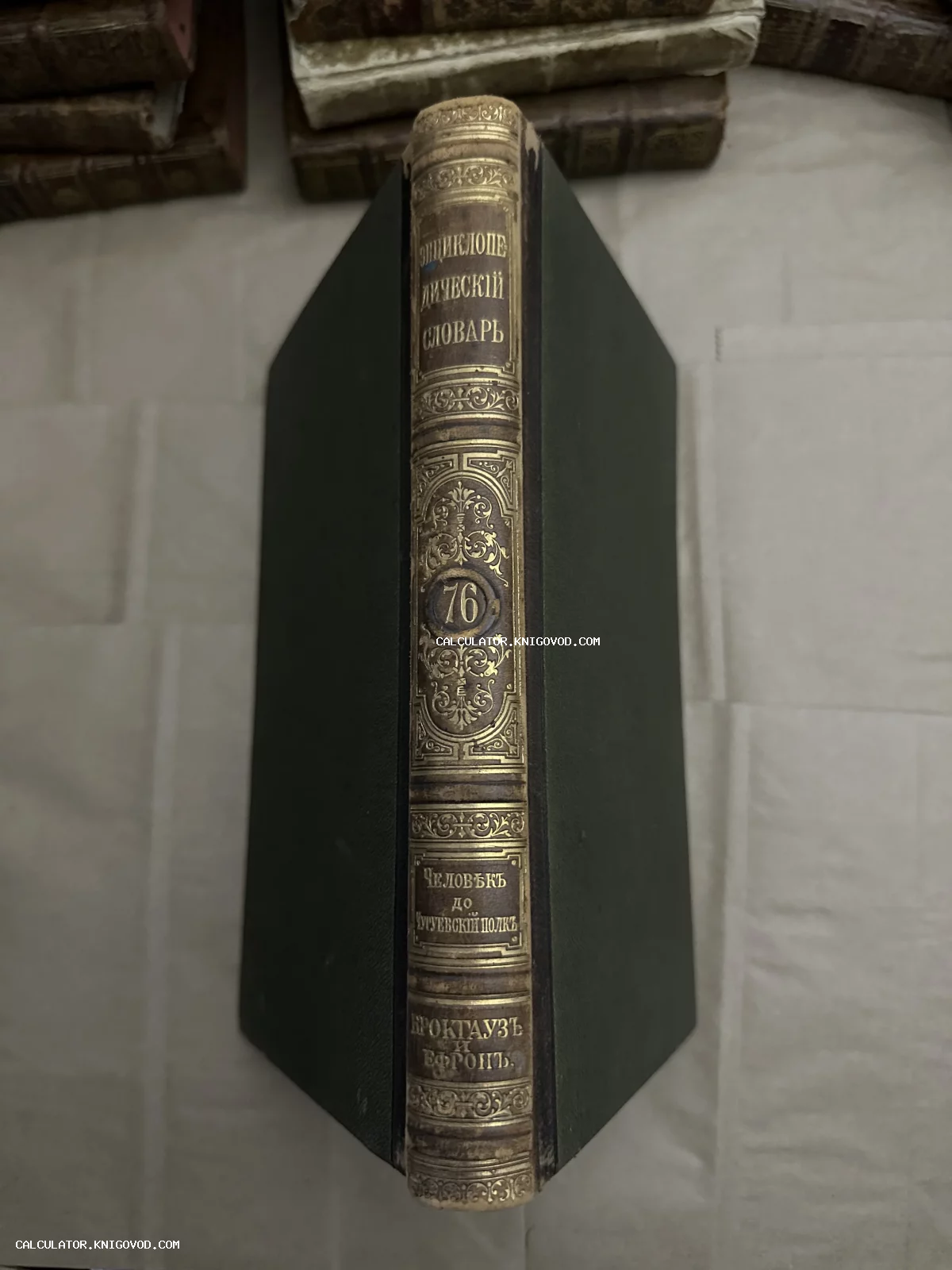Корешок антикварной книги Энциклопедический словарь Брокгауза и Ефрона с золотым тиснением, номер тома 76.