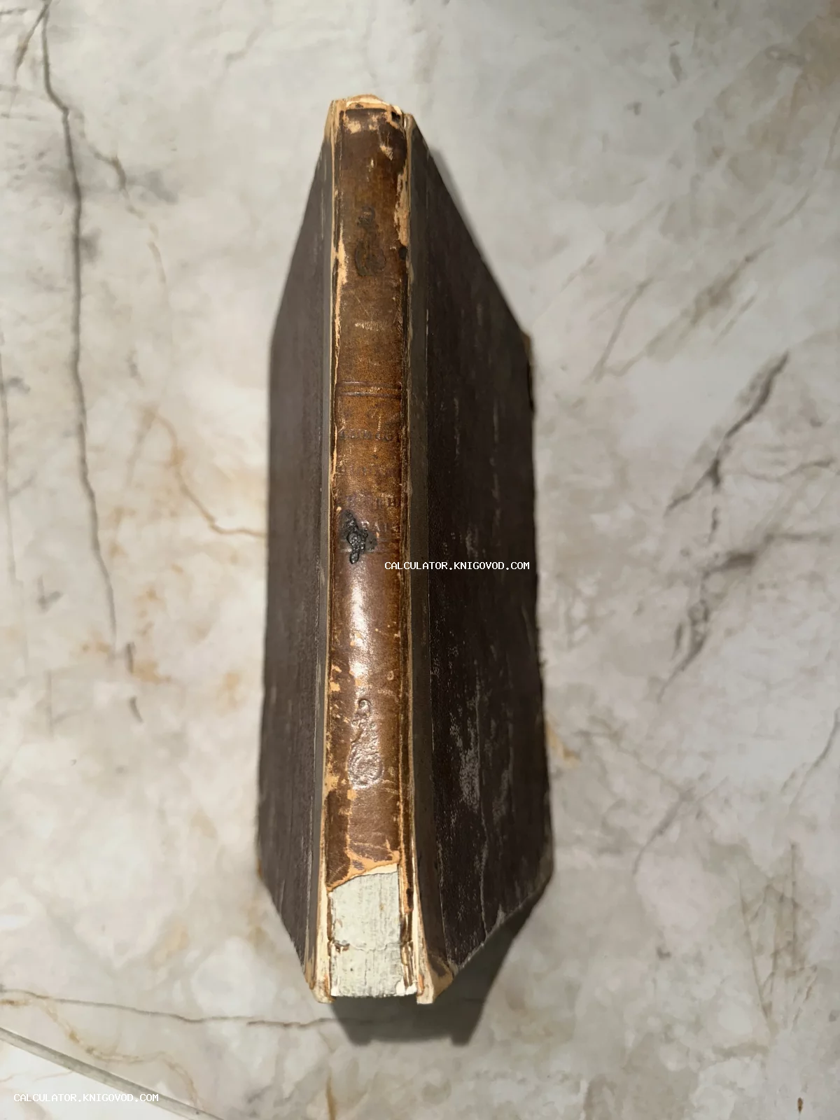 Крупный план потертого корешка старинной книги в кожаном переплете с золотым тиснением на светлом фоне