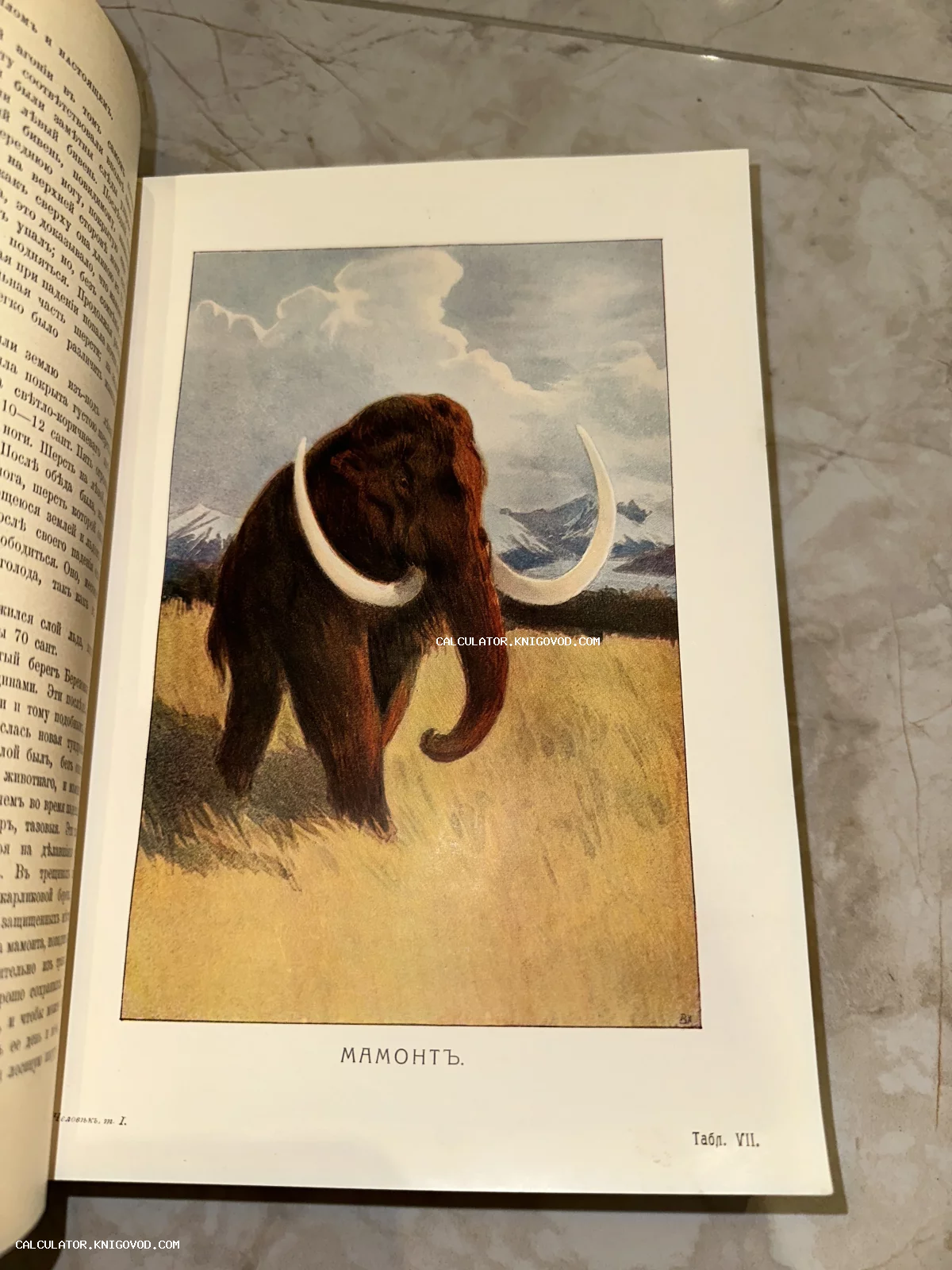 Старинная цветная иллюстрация мамонта с бивнями на фоне заснеженных гор в открытой книге с дореволюционным текстом.