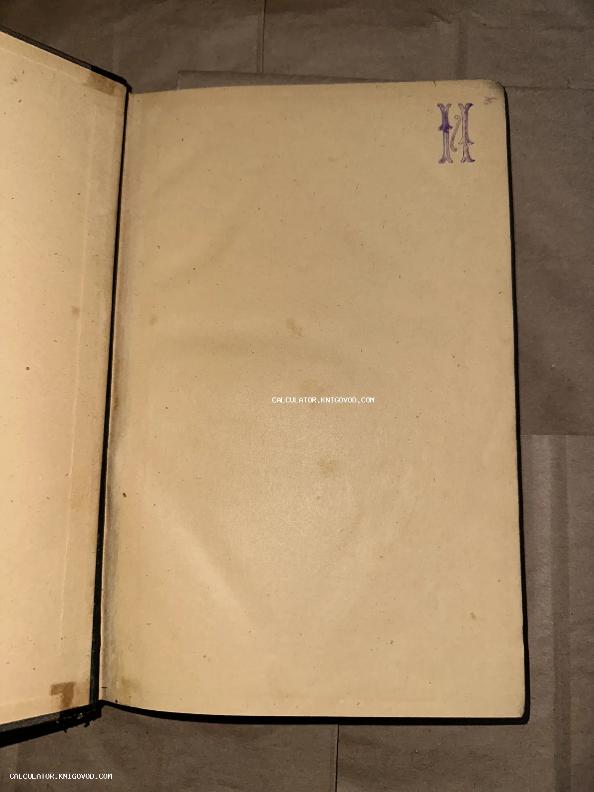 Разворот антикварной книги с пожелтевшей бумагой и каллиграфическим штампом в виде буквы в верхнем углу.