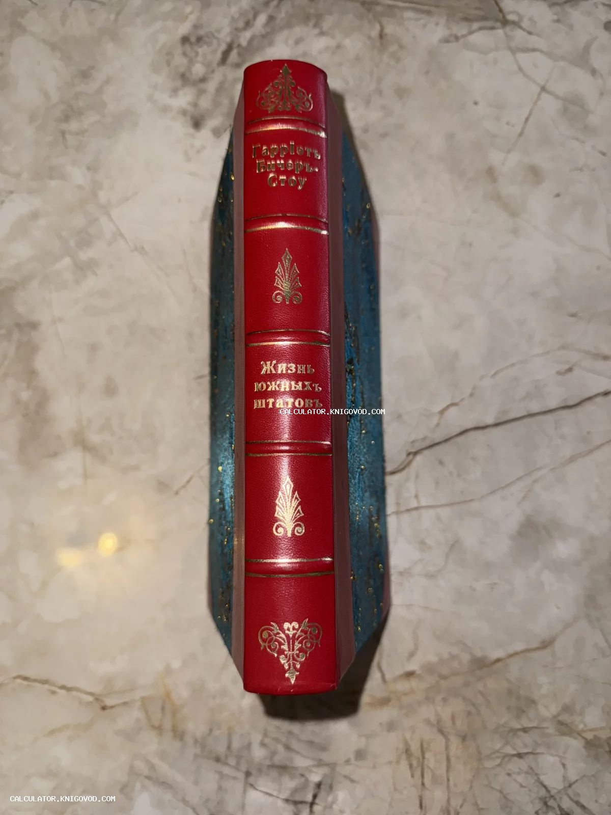 Корешок антикварной книги Гарриет Бичер-Стоу «Жизнь южных штатов» из красной кожи с золотым тиснением.