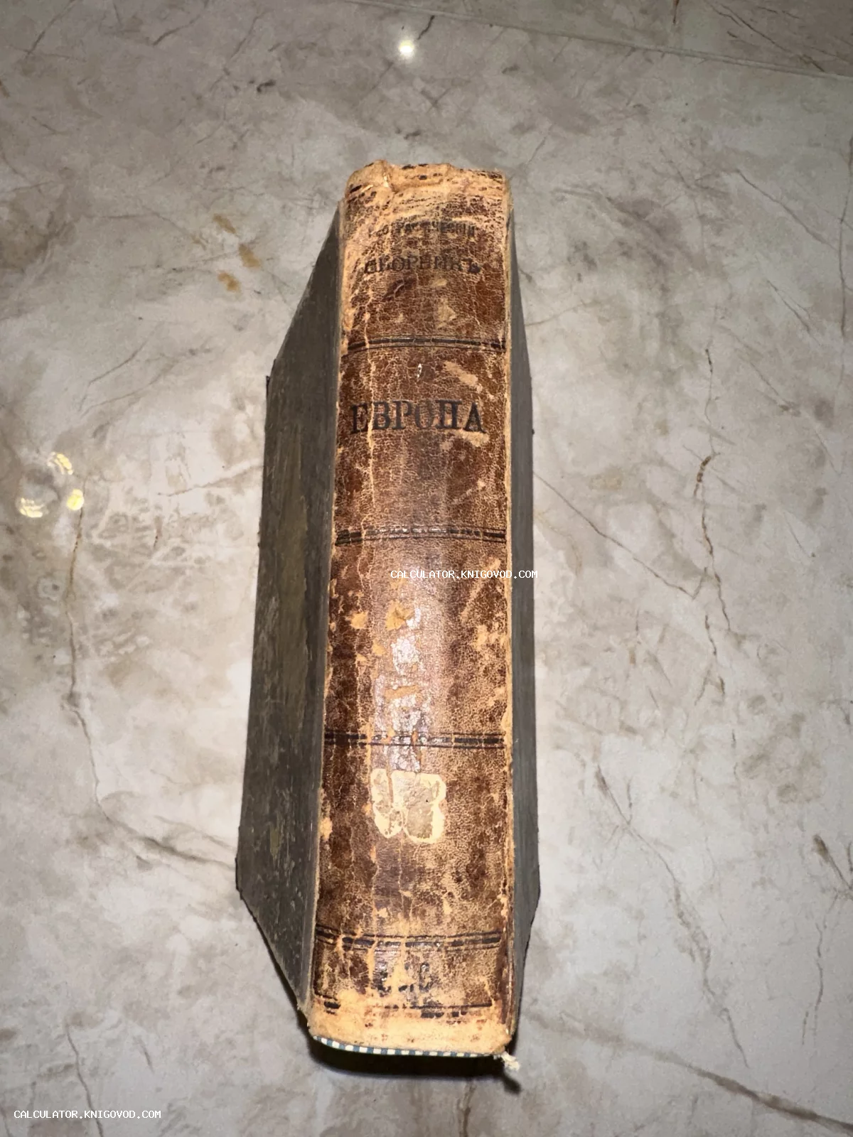 Корешок старинной книги с тиснением «Европа» и орнаментальными полосами на мраморном фоне.