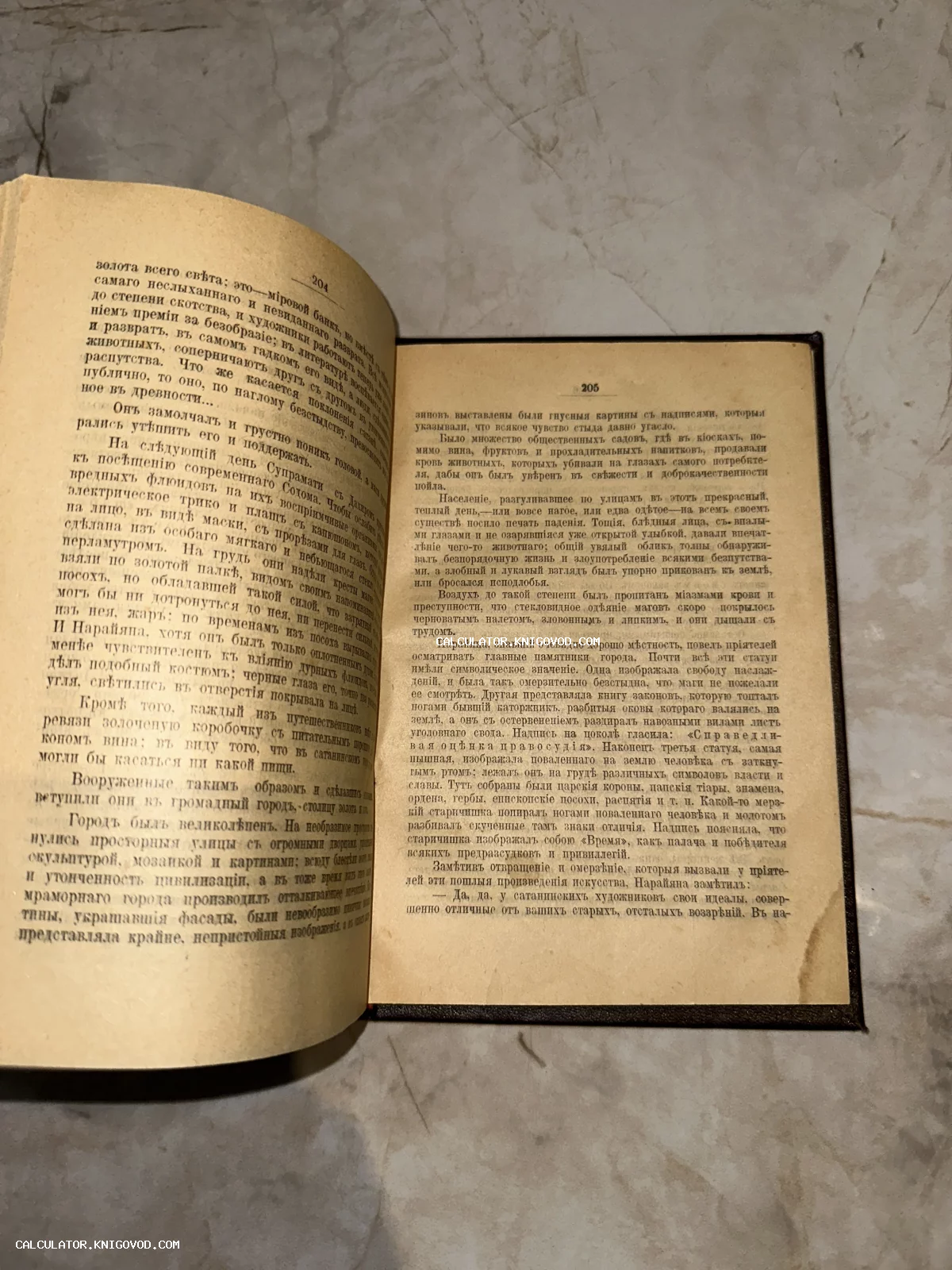 Разворот старинной книги на страницах 204-205 с текстом на русском языке в дореволюционной орфографии.