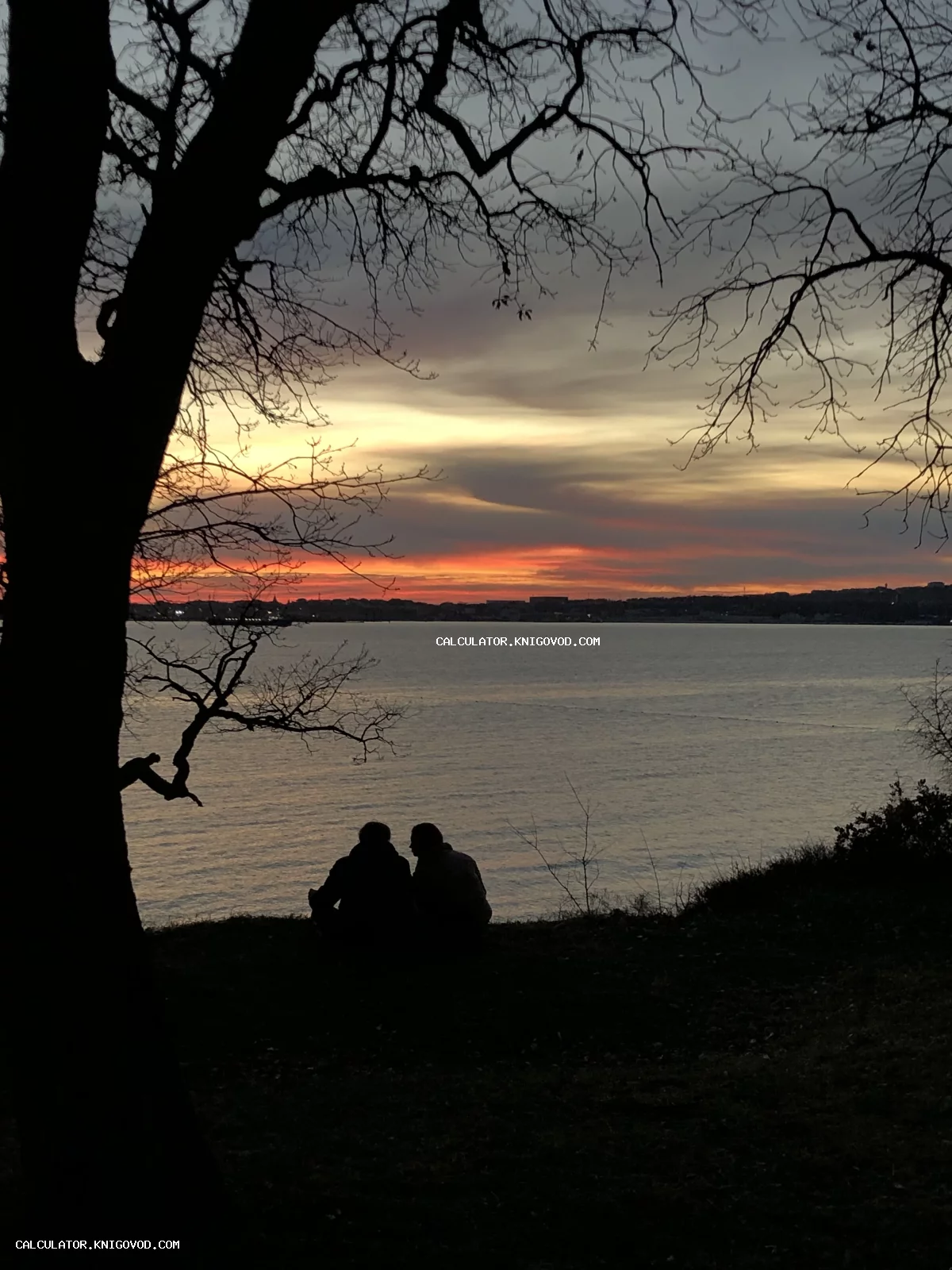 Силуэты двух людей, сидящих на обрыве у моря на фоне заката под сенью деревьев.