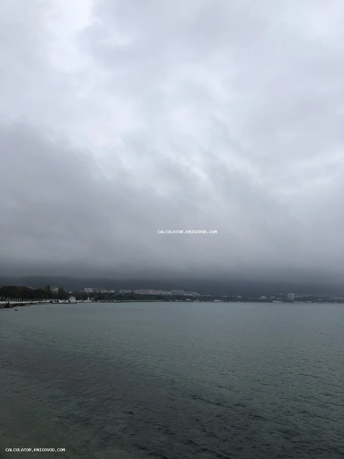 Вид на морской залив и городскую набережную под тяжелыми низкими облаками в серый день.