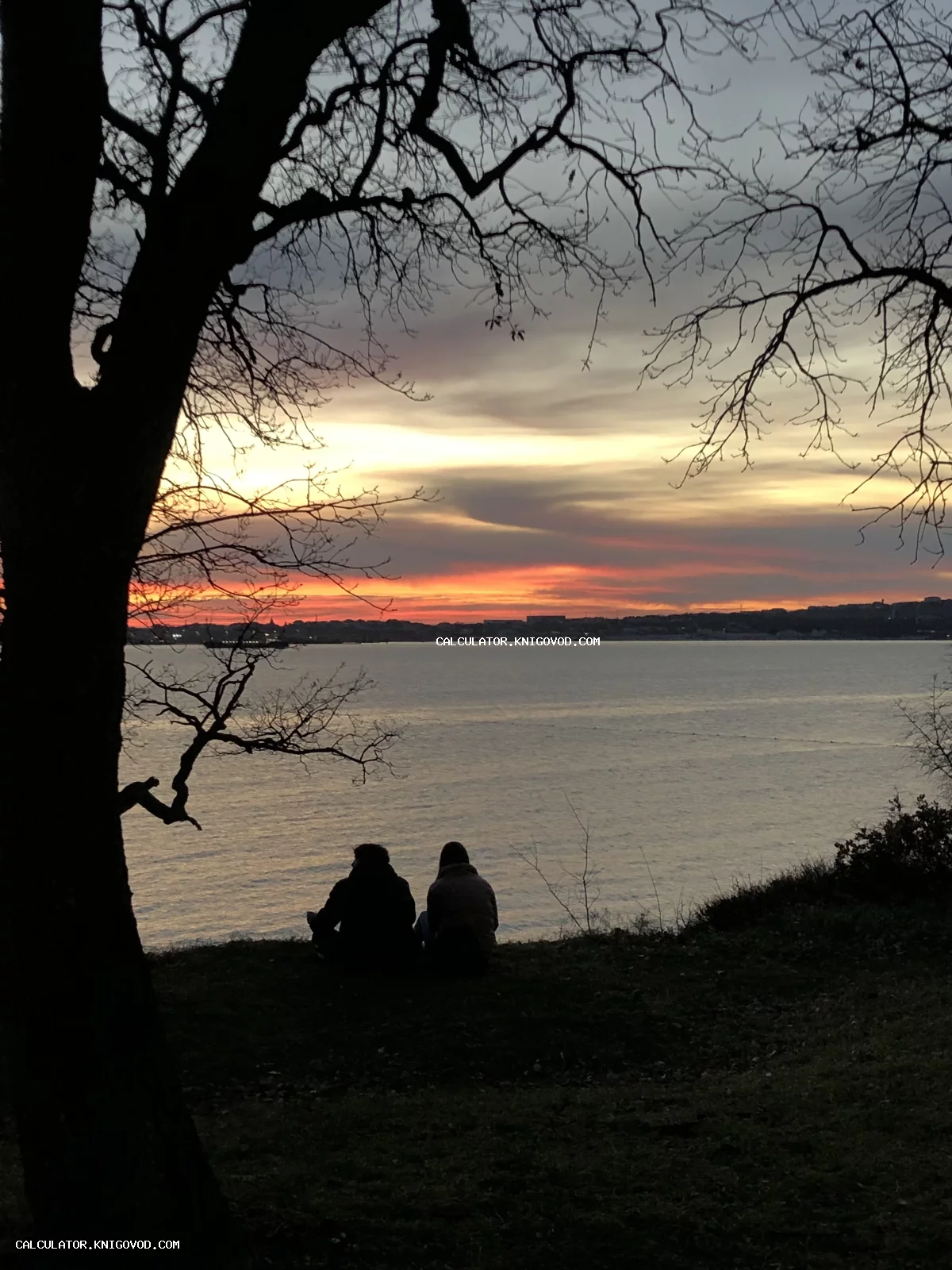 Силуэты двух человек, сидящих на холме на фоне яркого оранжевого заката над морем, обрамленного темными ветвями дерева.