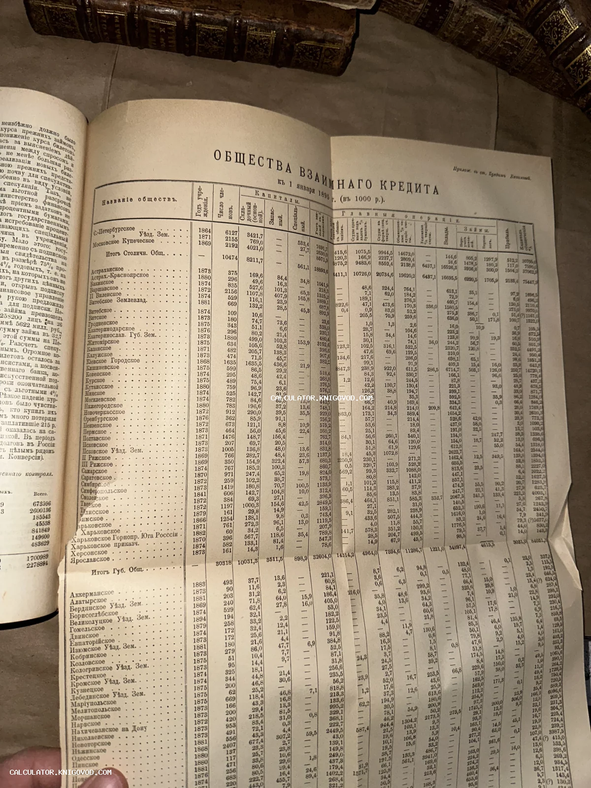 Разворот антикварной книги со статистической таблицей Общества взаимного кредита на 1895 год.