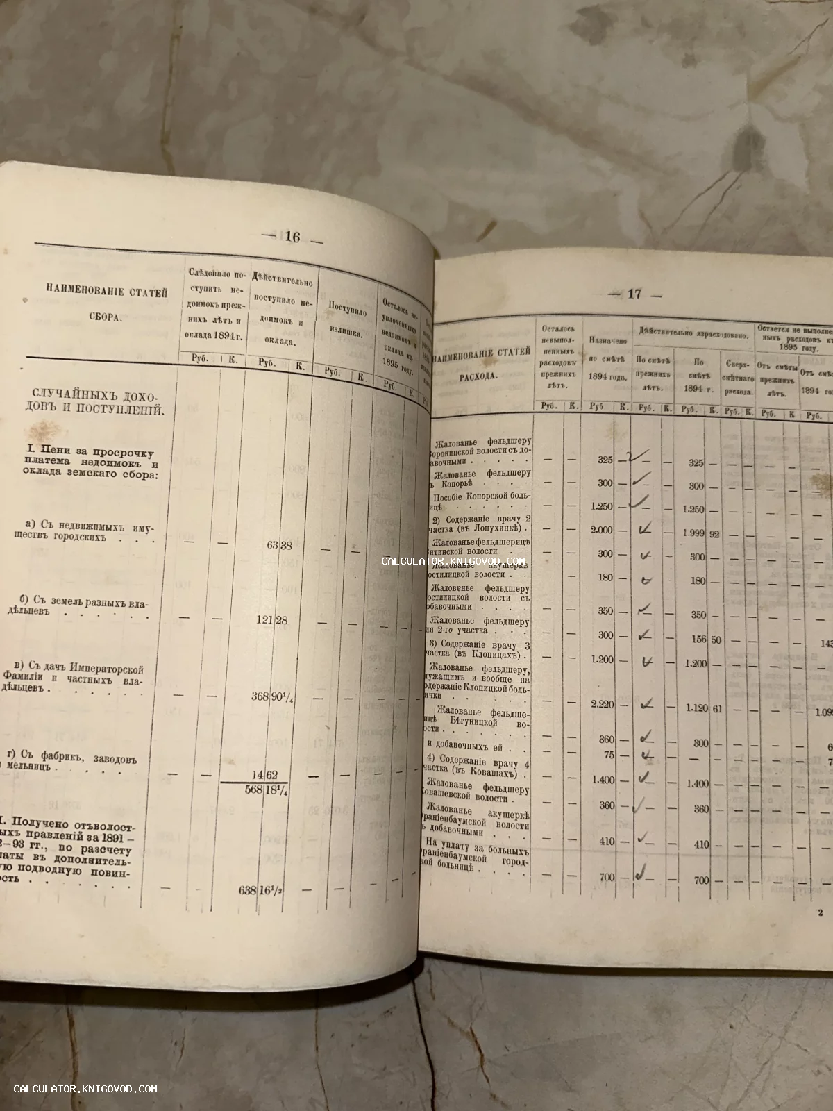 Разворот антикварной книги со статистическими таблицами доходов и расходов земства за 1894-1895 годы.