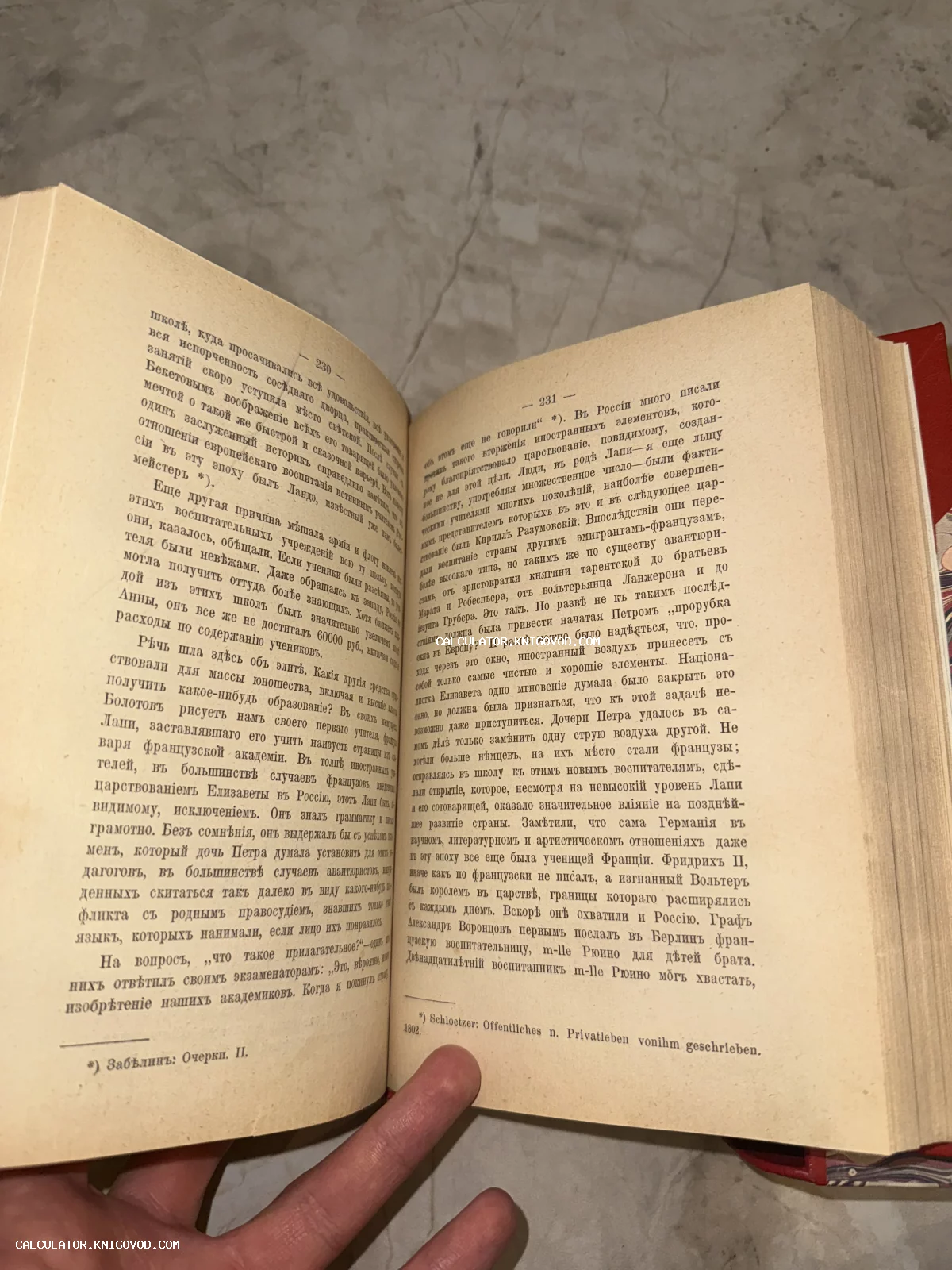 Разворот старинной книги с текстом на дореволюционном русском языке, страницы 230-231.