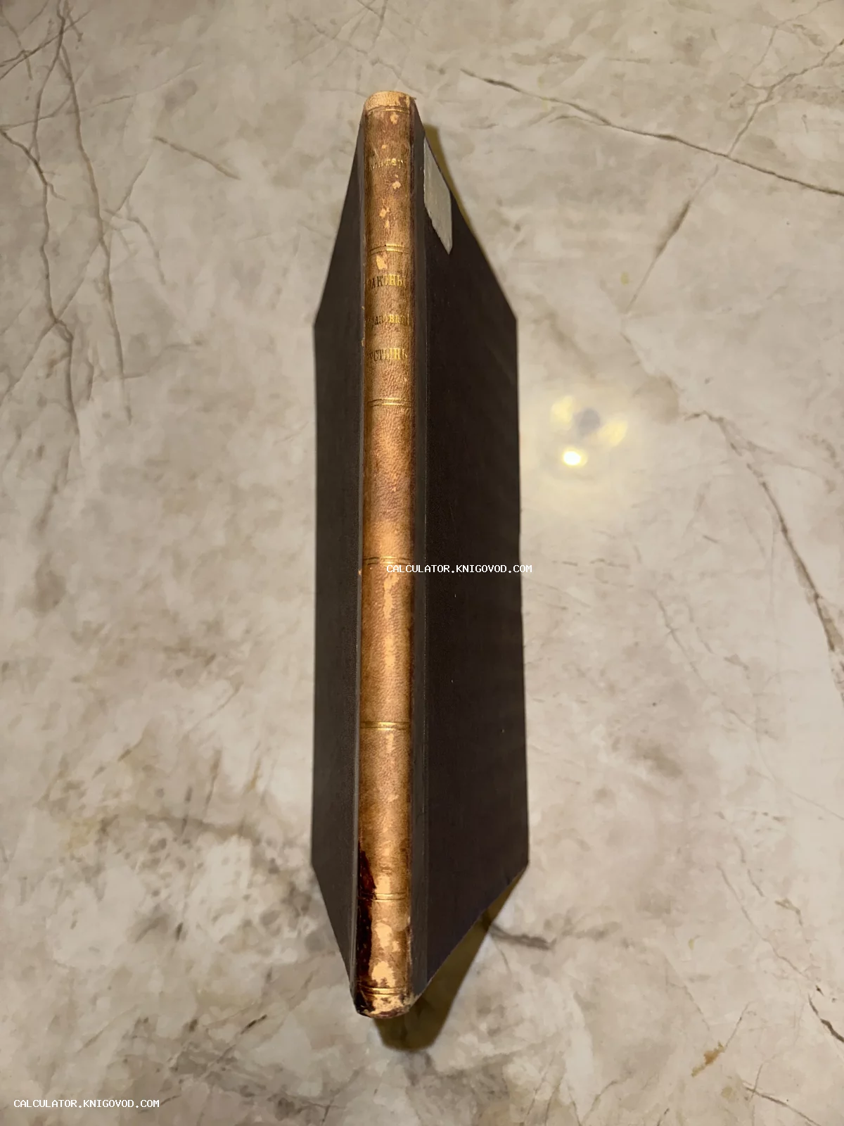 Корешок старинной антикварной книги с золотым тиснением на светлом мраморном фоне.