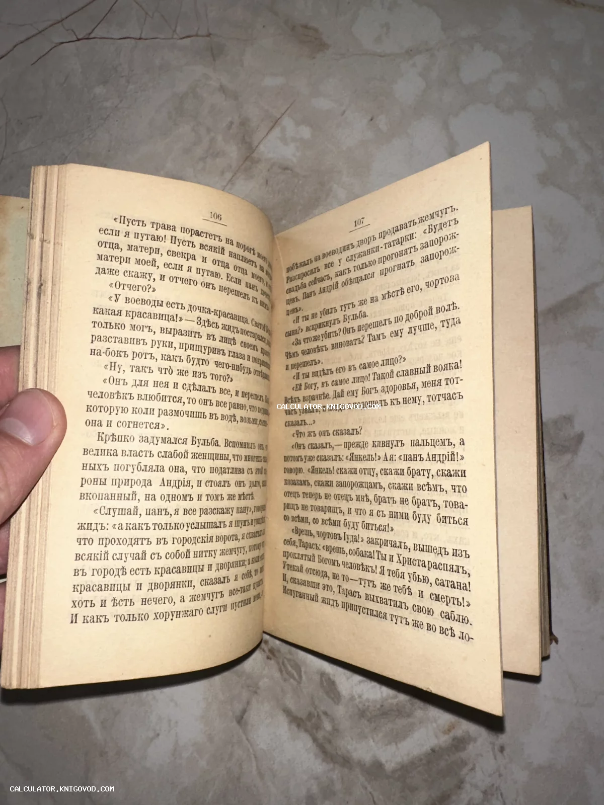 Разворот антикварной книги со страницами 106 и 107, текст напечатан на дореволюционном русском языке.