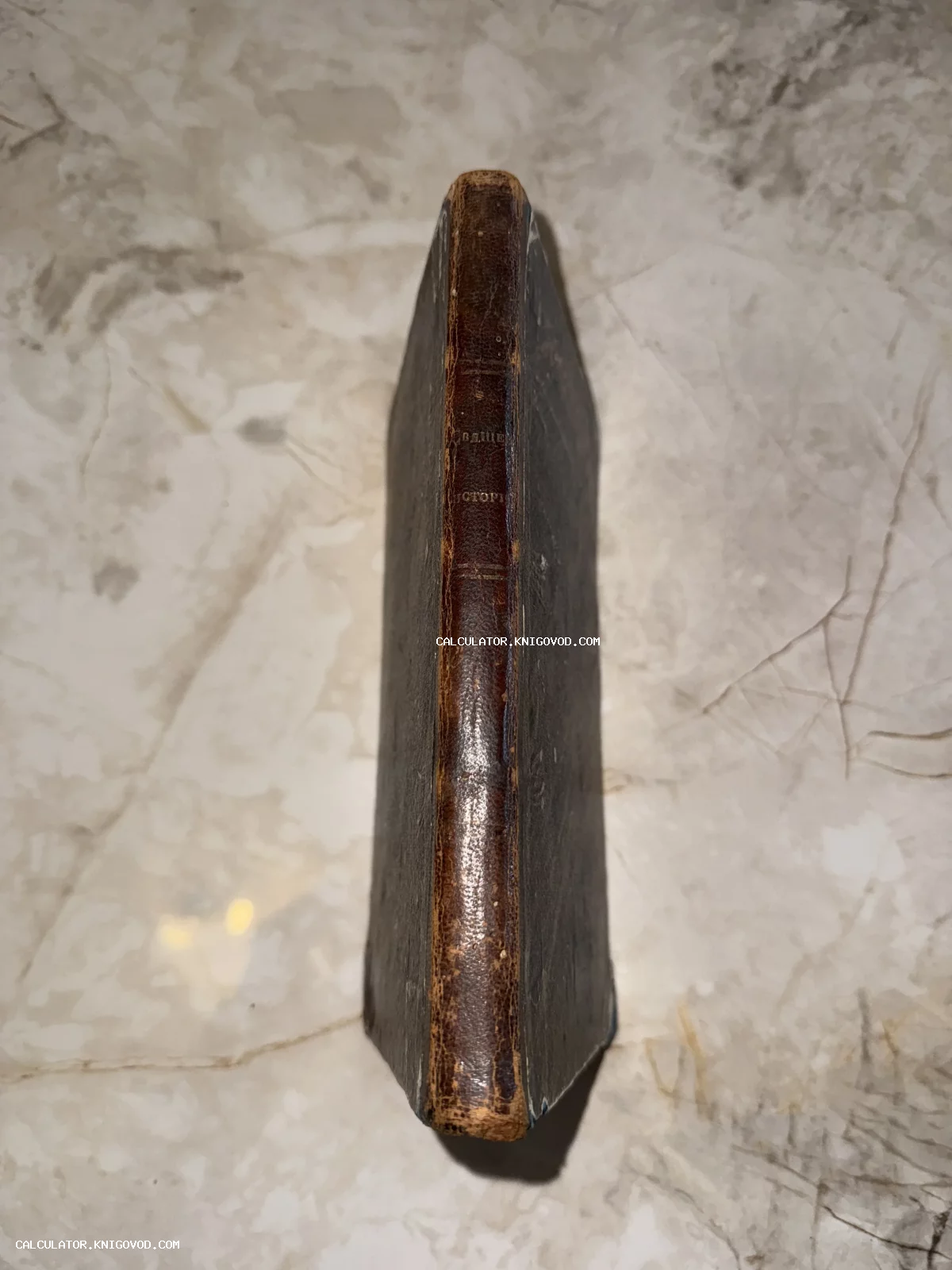 Крупный план старинного книжного корешка с золотым тиснением на мраморной поверхности.