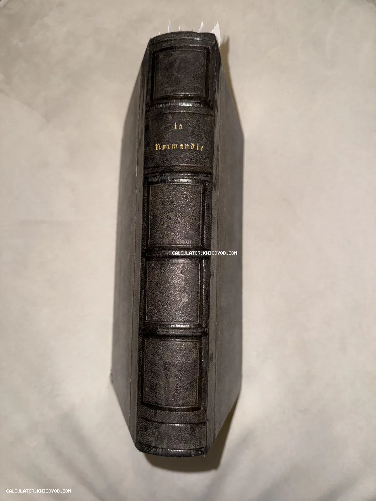 Корешок старинной книги с золотым тиснением La Normandie на темной коже с бинтами.