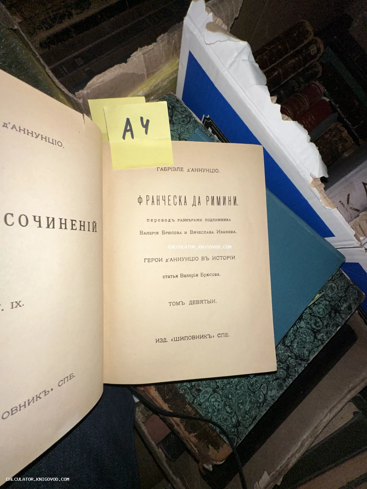 Титульный лист старинной книги Габриэле д'Аннунцио «Франческа да Римини» в переводе Валерия Брюсова и Вячеслава Иванова, том девятый.