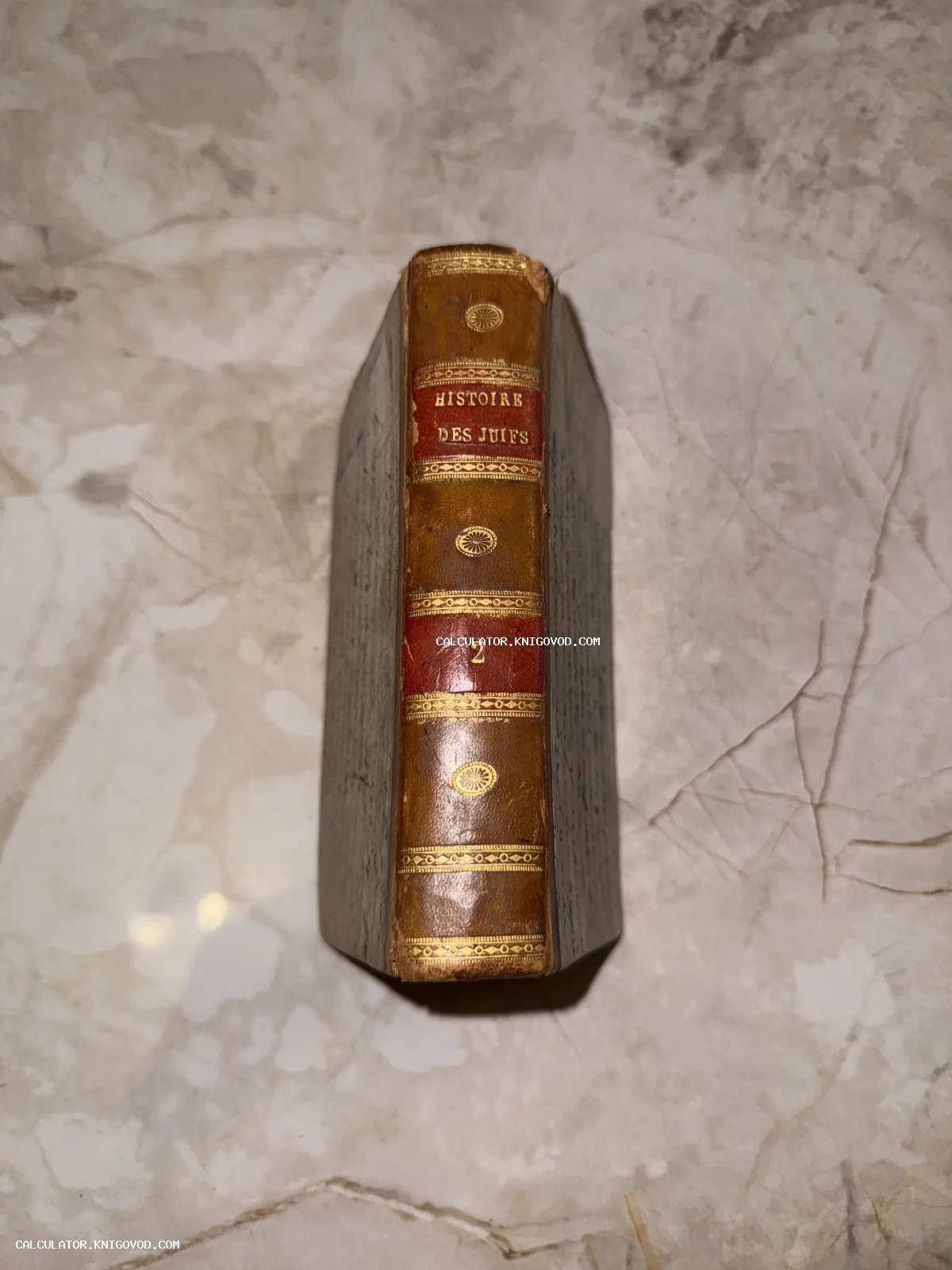 Корешок старинной книги в кожаном переплете с золотым тиснением и названием Histoire des Juifs, том 2.