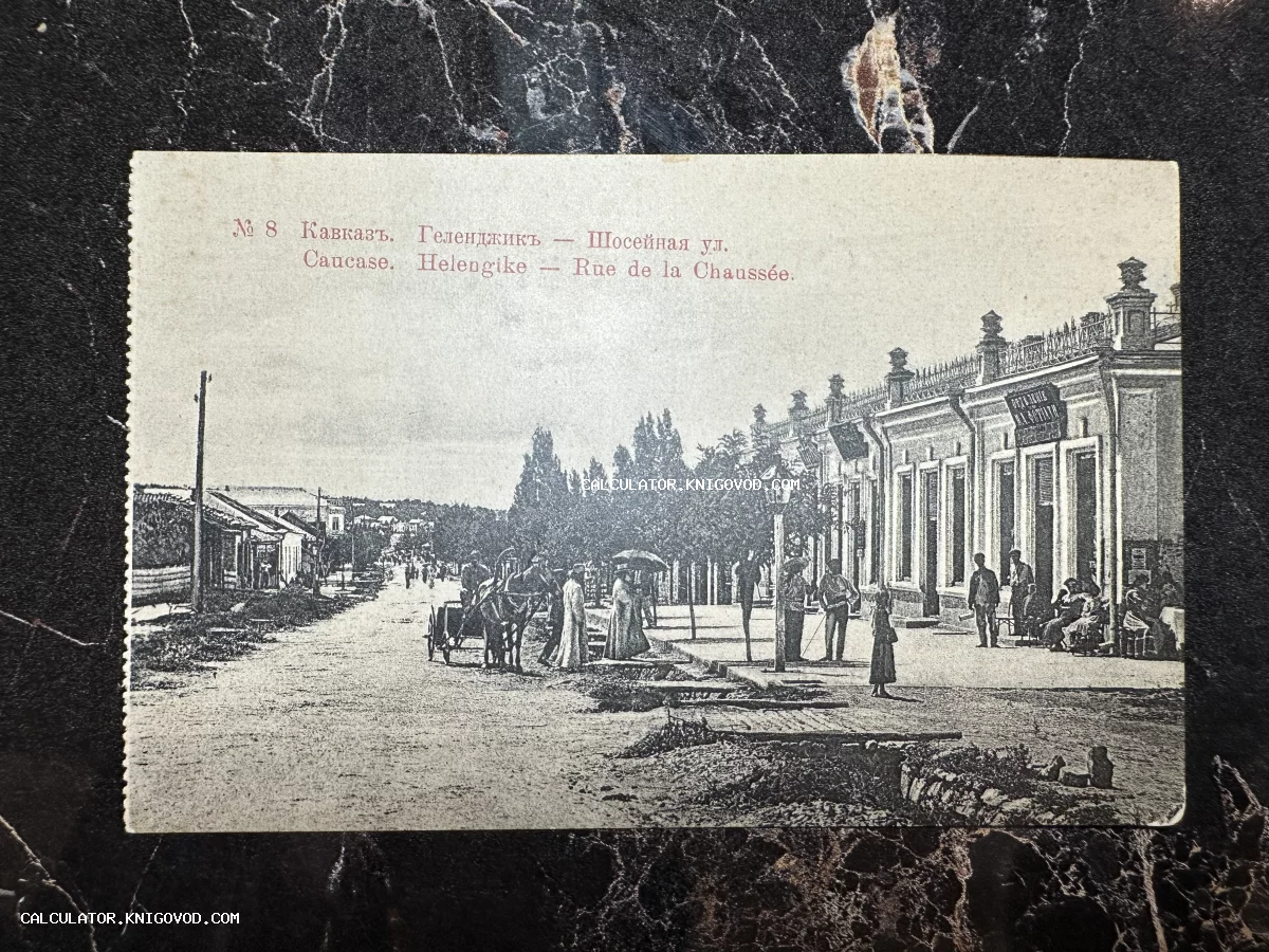 Старинная черно-белая открытка с видом на Шоссейную улицу в Геленджике начала XX века с прохожими и конным экипажем.