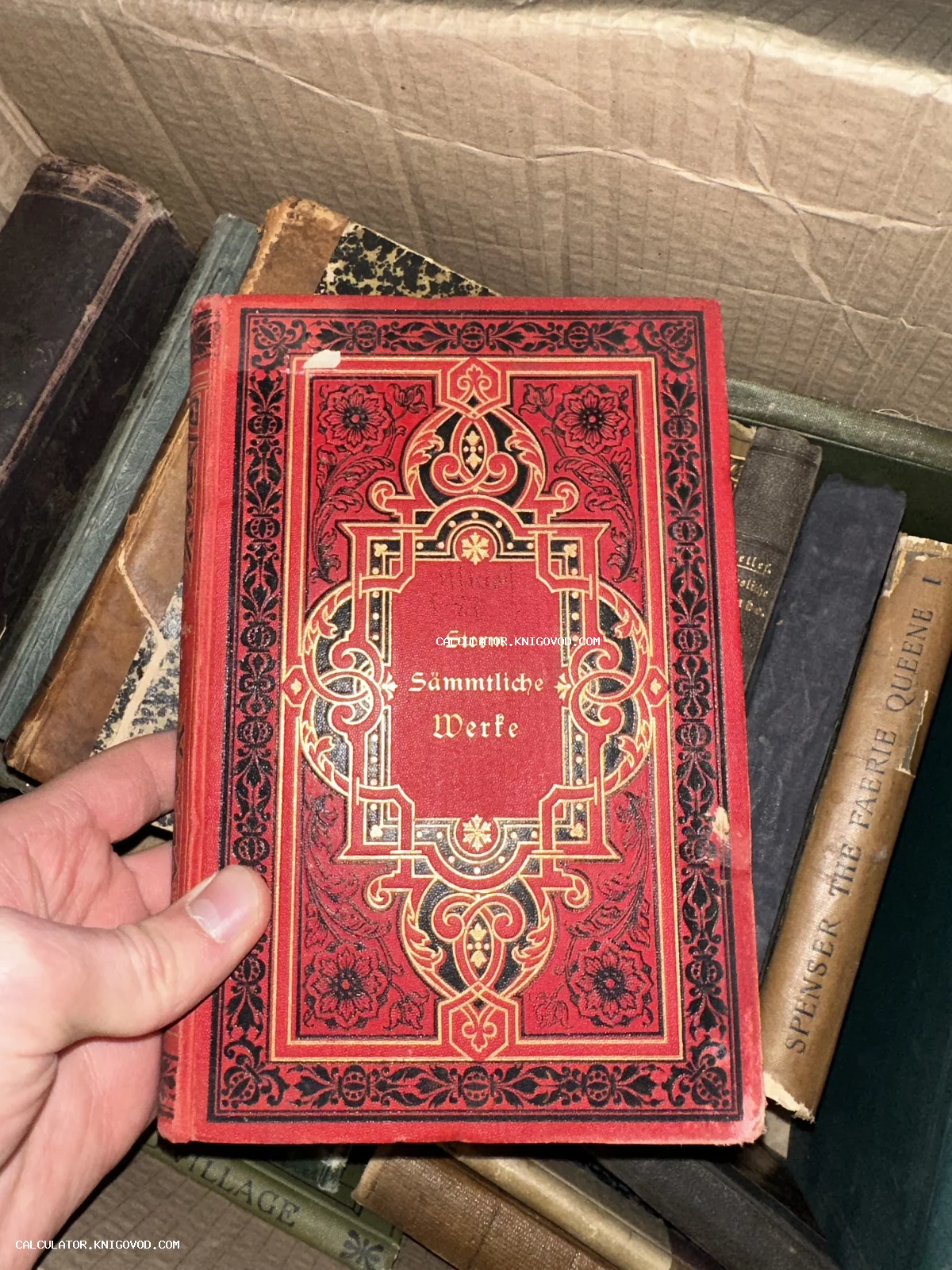 Старинная книга в красном тканевом переплете с золотым тиснением и орнаментом, название Storm Sämmtliche Werke.