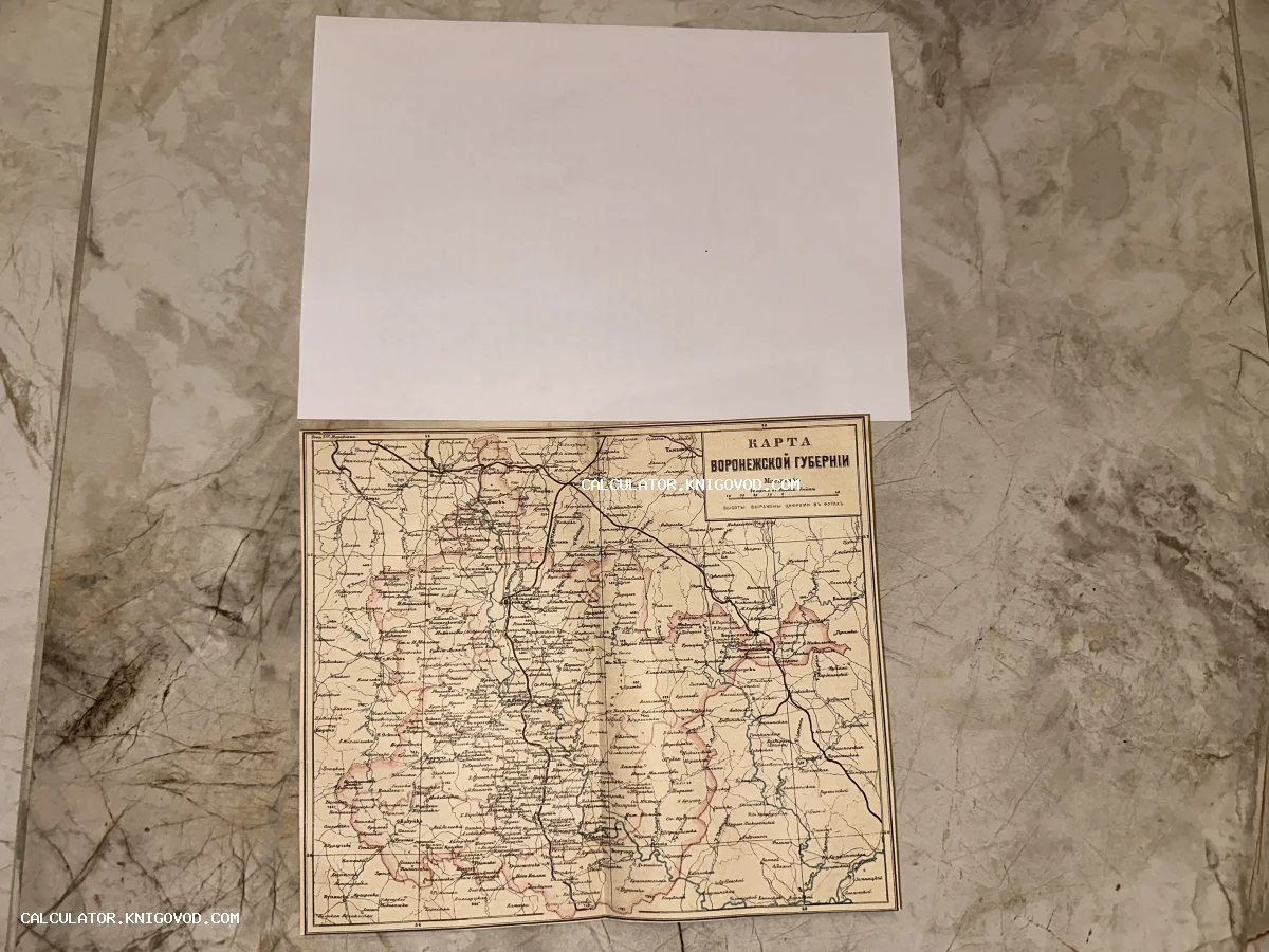Старинная печатная карта Воронежской губернии с обозначением населенных пунктов, рек и дорог на русском языке.