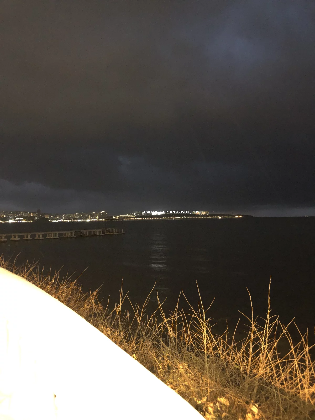 Вид на ночной морской залив с огнями города на горизонте, пирсом и освещенной сухой травой на переднем плане.