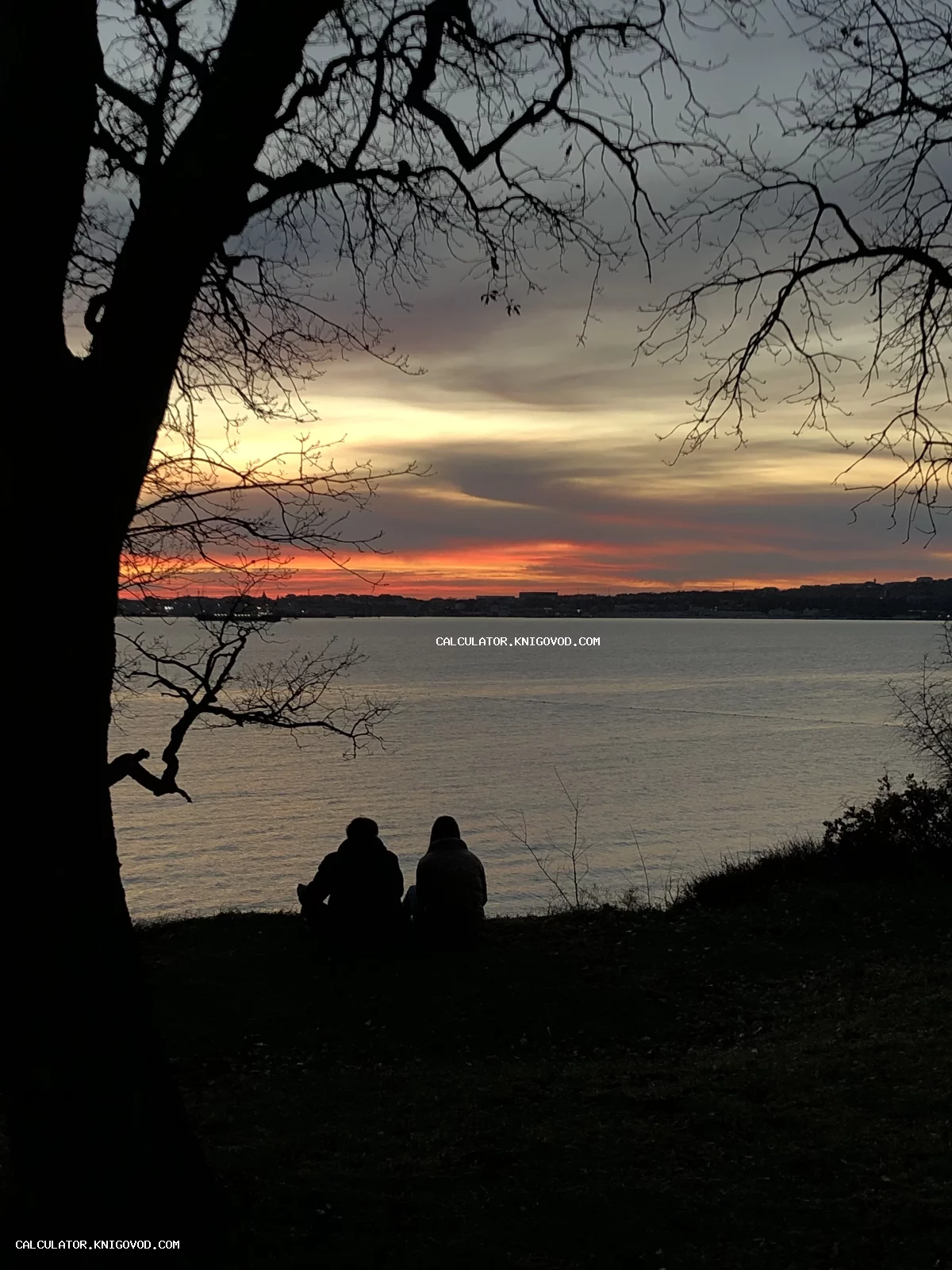 Силуэты двух человек, сидящих на берегу водоема на фоне яркого оранжевого заката, обрамленные темными ветвями деревьев.