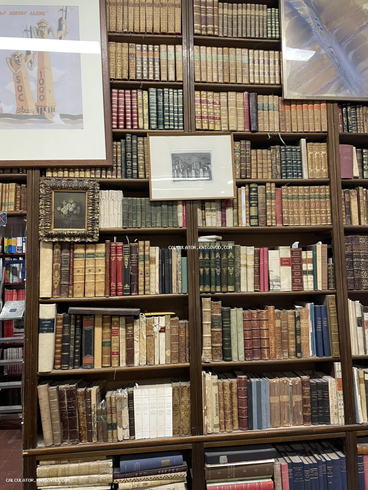 Высокие деревянные книжные полки, заполненные старинными книгами в кожаных и пергаментных переплетах с золотым тиснением и вставленными картинами в рамах.