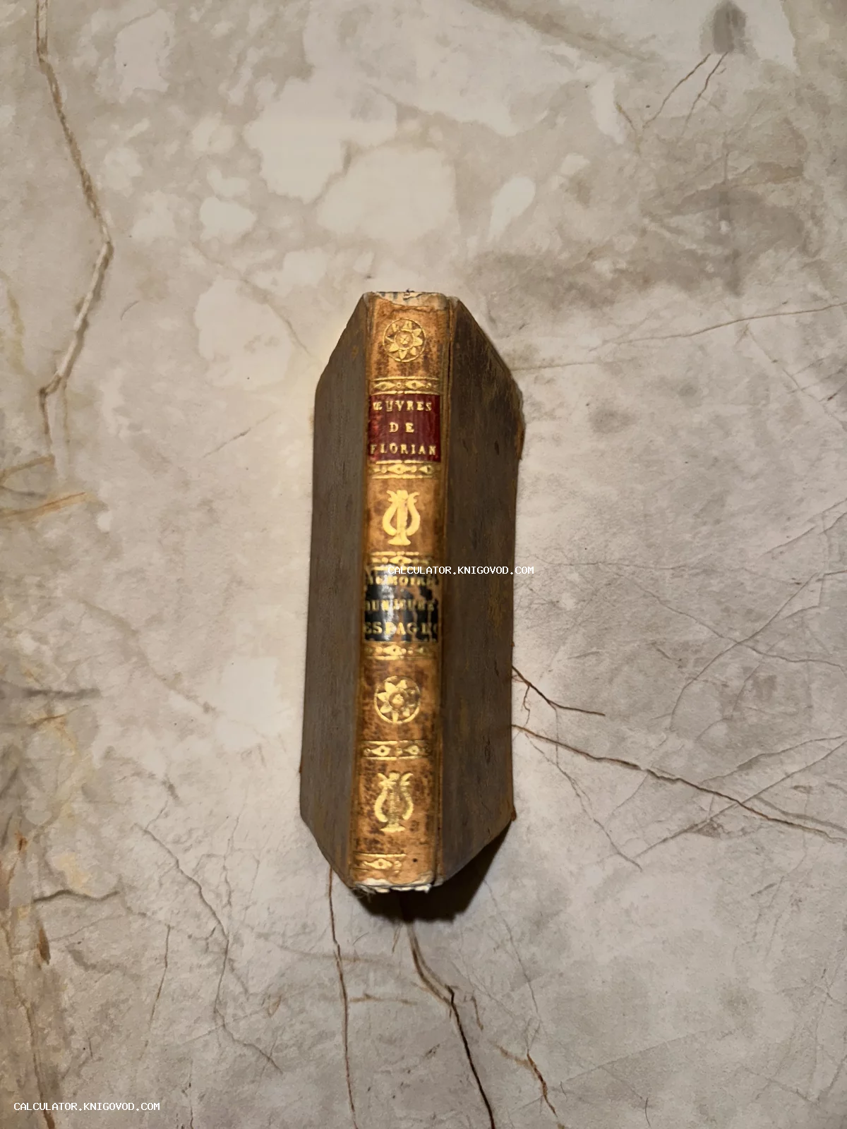 Вид сверху на корешок антикварной книги Oeuvres de Florian с золотым тиснением на мраморном фоне.