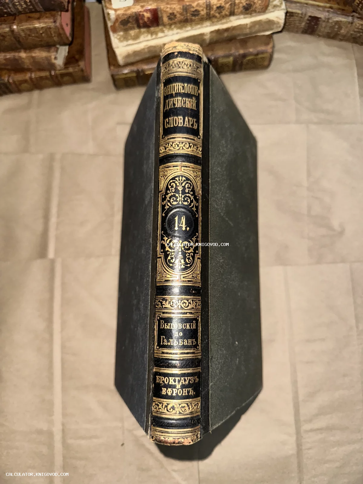 Старинный кожаный корешок книги 'Энциклопедический словарь Брокгауза и Ефрона' с золотым тиснением.