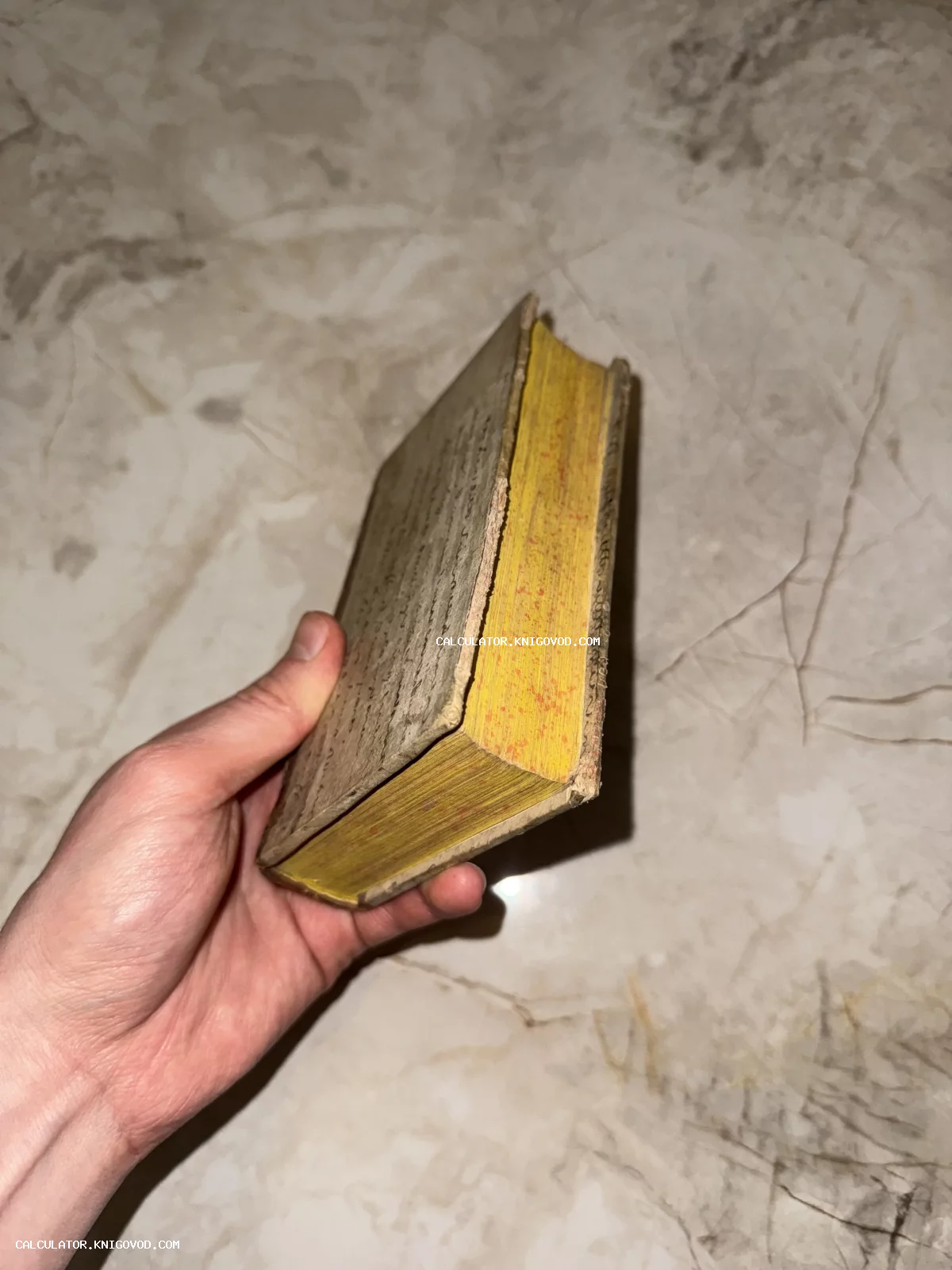 Рука держит старинную книгу с пожелтевшим крапчатым обрезом и обложкой, исписанной каллиграфическим почерком.