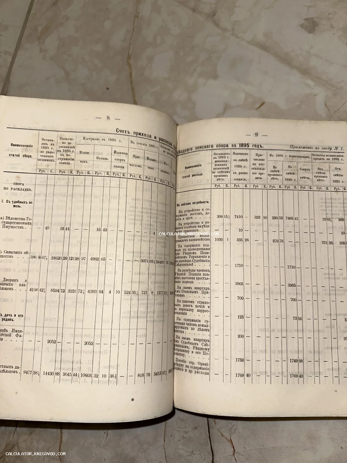 Разворот антикварной книги со статистическими таблицами прихода и расхода земского сбора за 1895 год.