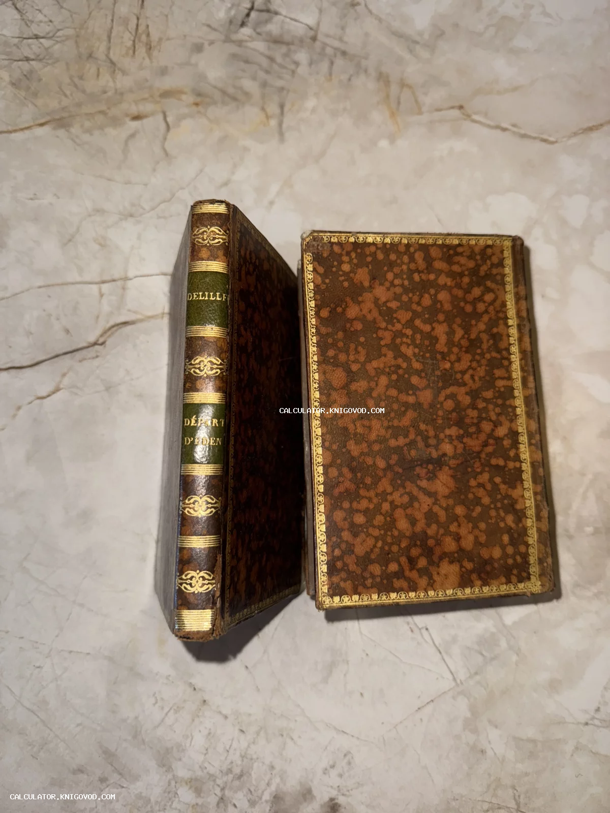 Две антикварные книги на мраморном фоне: виден корешок с золотым тиснением и надписью DELILLE и обложка с мраморным узором.