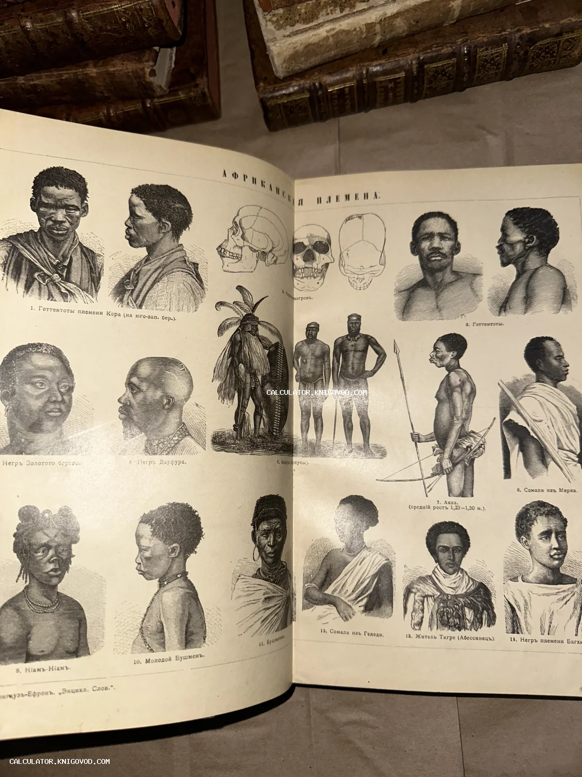 Разворот антикварной книги с черно-белыми гравюрами, изображающими портреты представителей африканских народов и антропологические зарисовки.
