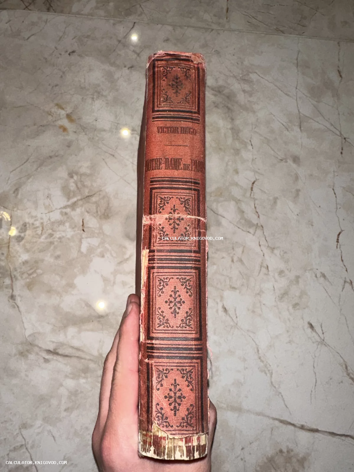 Корешок старинной книги Виктора Гюго Notre-Dame de Paris с декоративным тиснением.