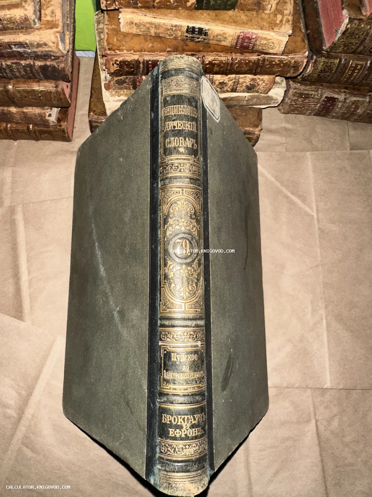 Корешок антикварной книги «Энциклопедический словарь Брокгауза и Ефрона», том 79, с золотым тиснением на фоне стопки старинных томов.