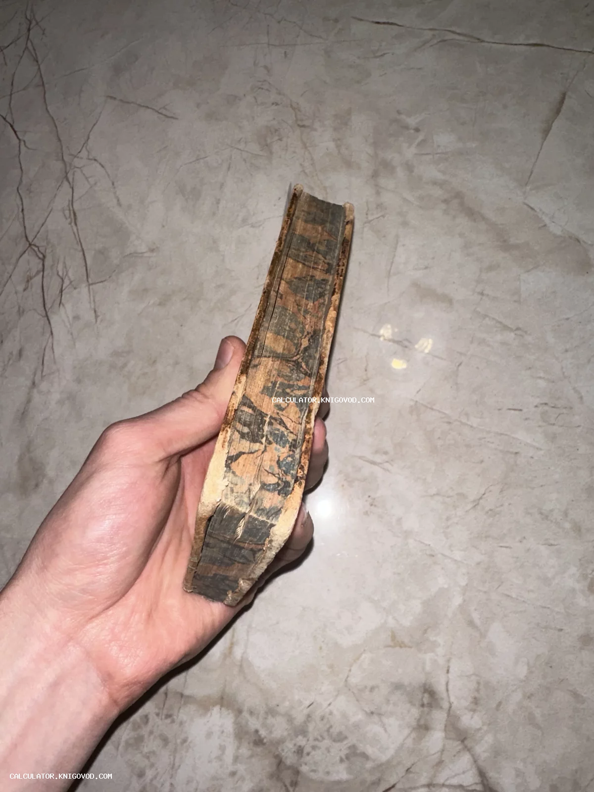 Мужская рука держит старинную книгу в твердом переплете с декоративным мраморным узором на обрезе страниц.