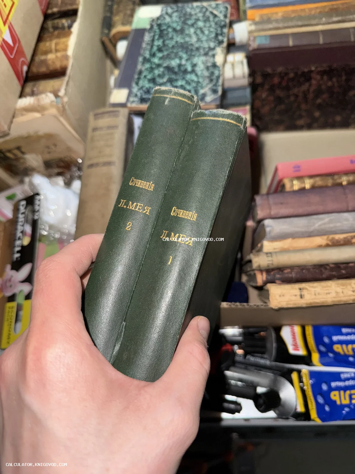 Две старинные книги в темно-зеленом переплете с золотым тиснением на корешках: Сочинения Л. Мея, тома 1 и 2.