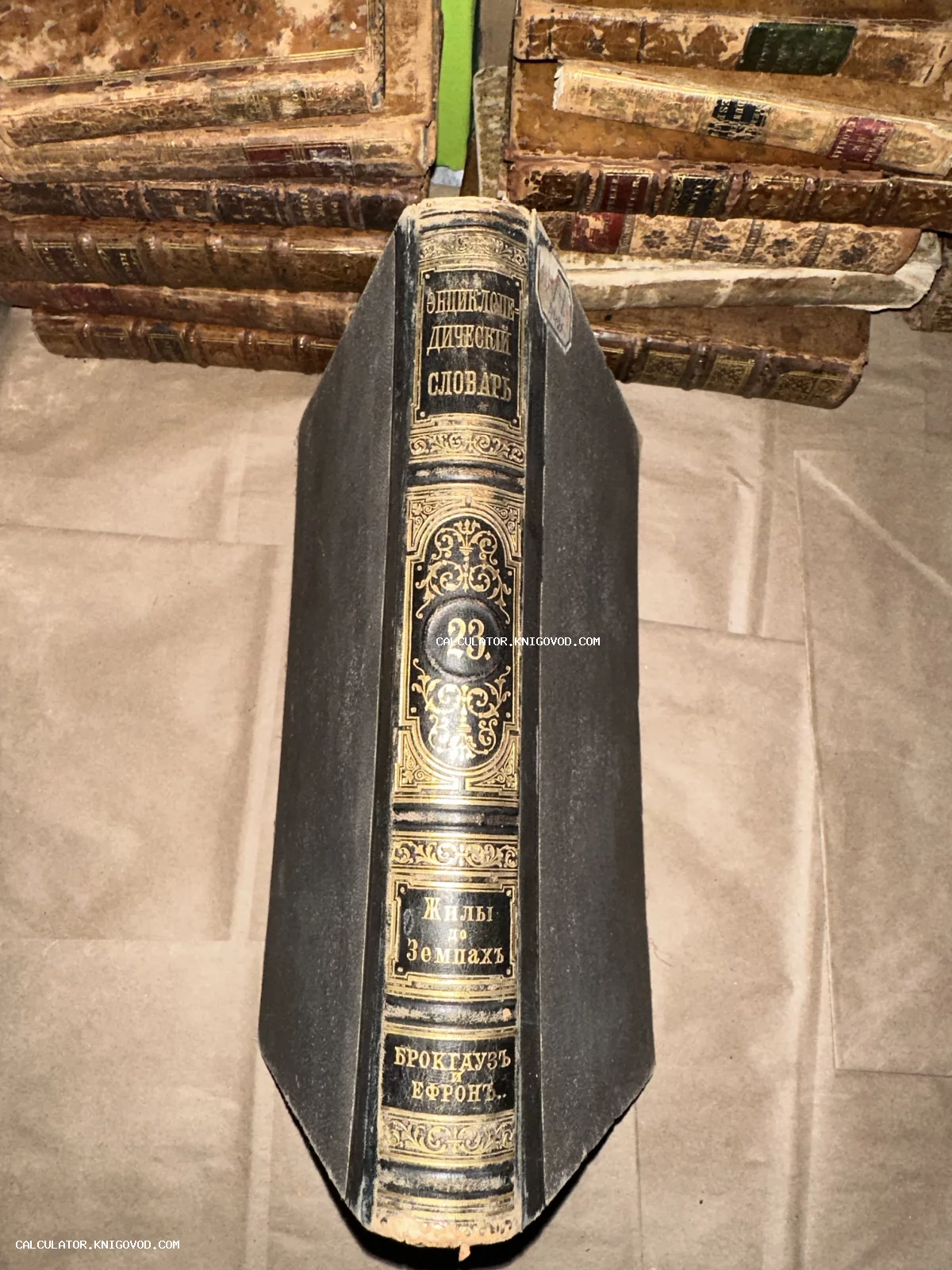 Старинная книга с кожаным корешком и золотым тиснением, 23 том словаря Брокгауза и Ефрона на фоне других антикварных томов.