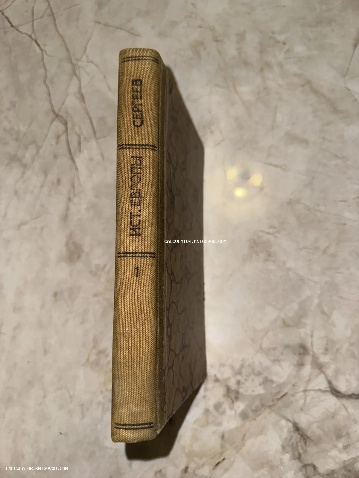 Корешок и часть обложки антикварной книги История Европы Сергеева на светлом фоне