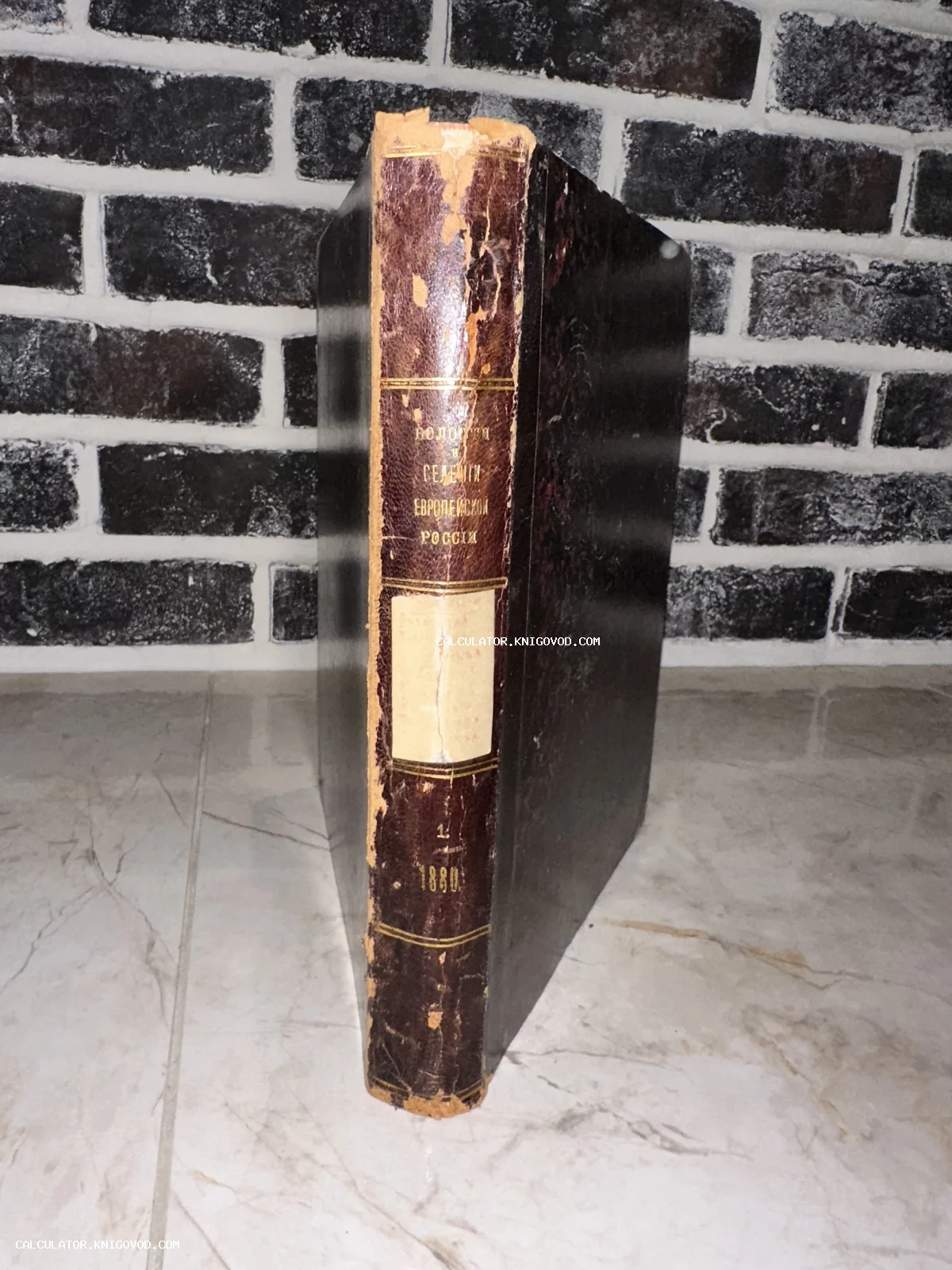 Старинная антикварная книга в темном кожаном переплете с золотым тиснением на корешке, изданная в 1880 году.