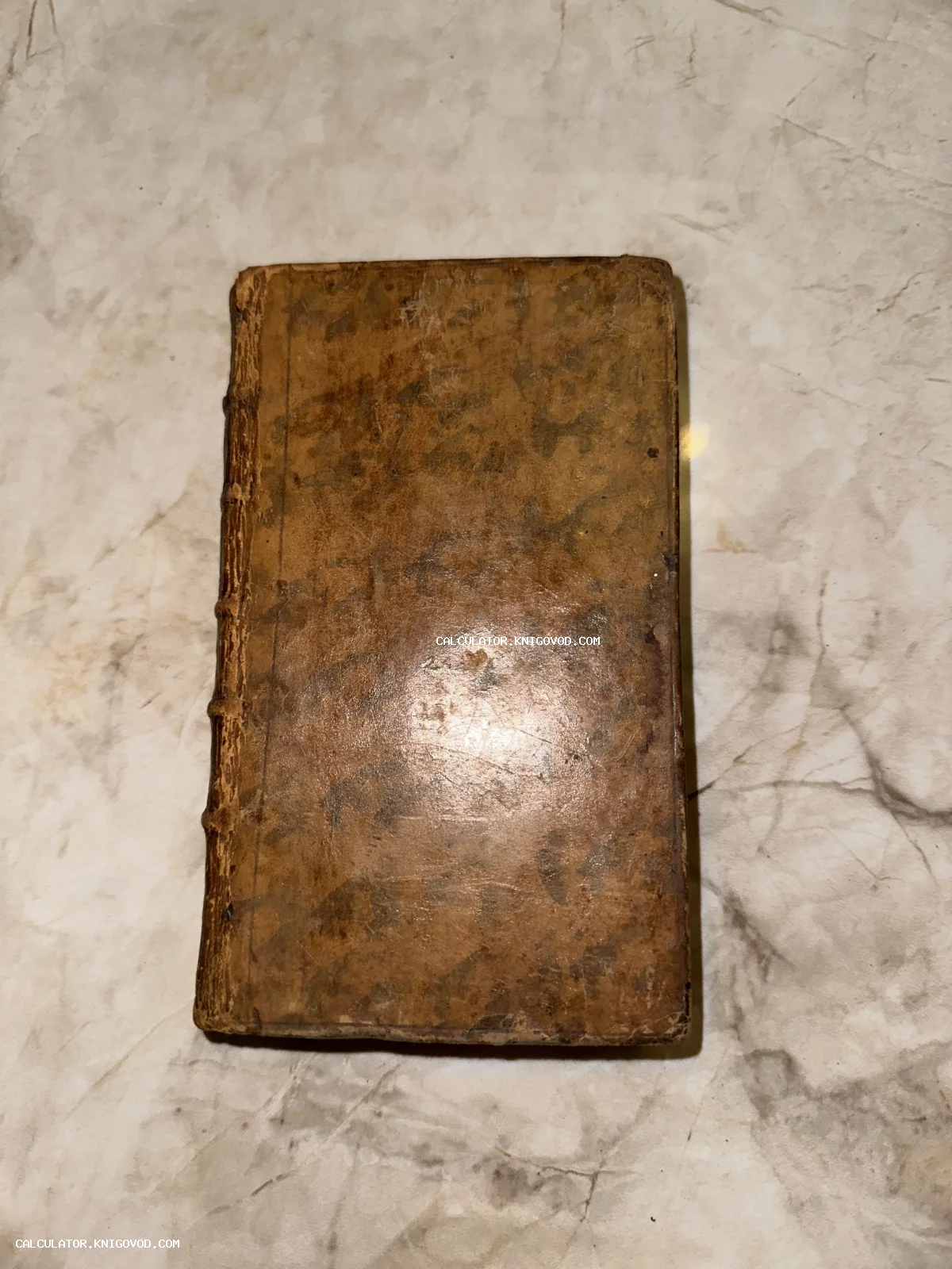 Антикварная книга в старом кожаном переплете с характерными потертостями и бинтами на корешке.